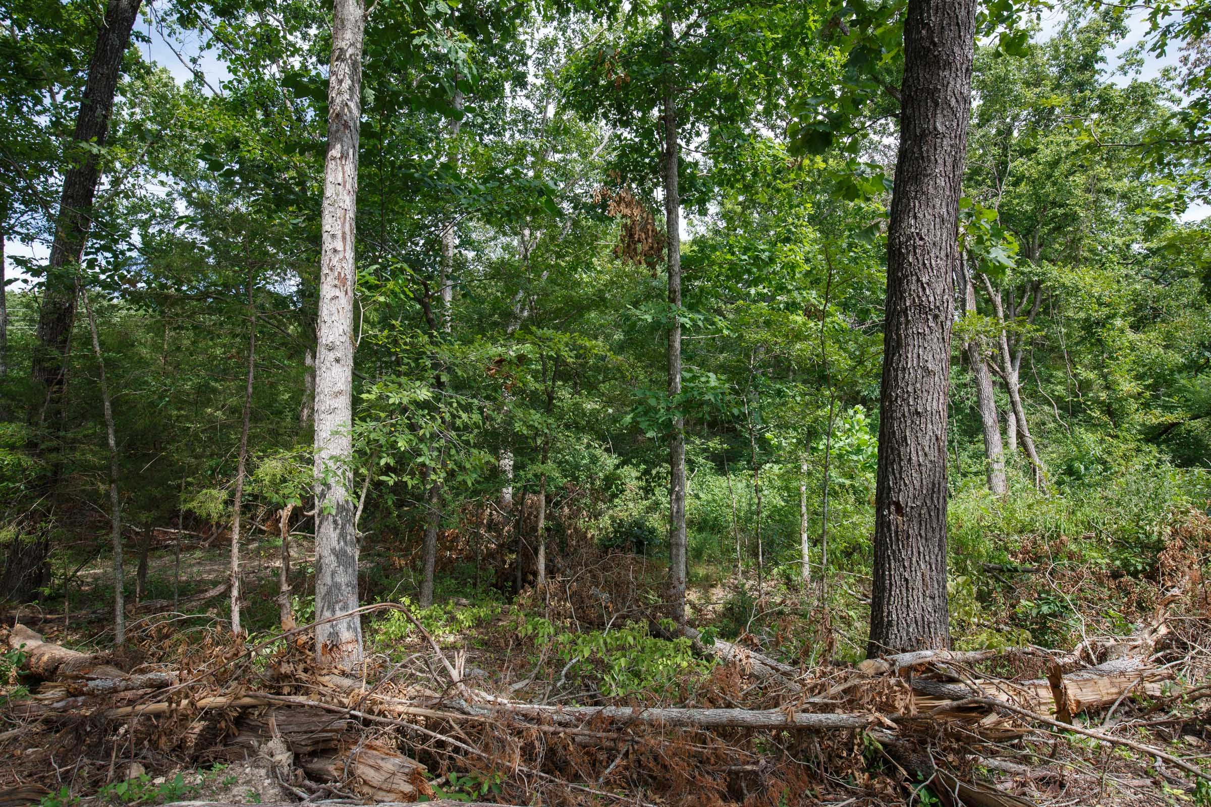 Wildwood Tract 27 photo 11