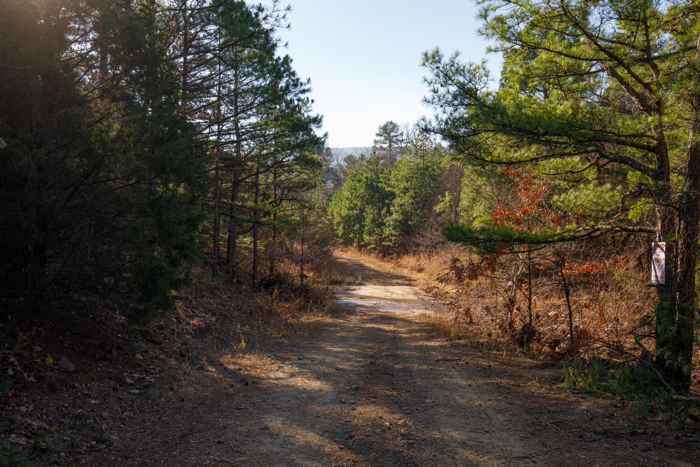 Stone Bridge Phase II Tract 74 photo 2