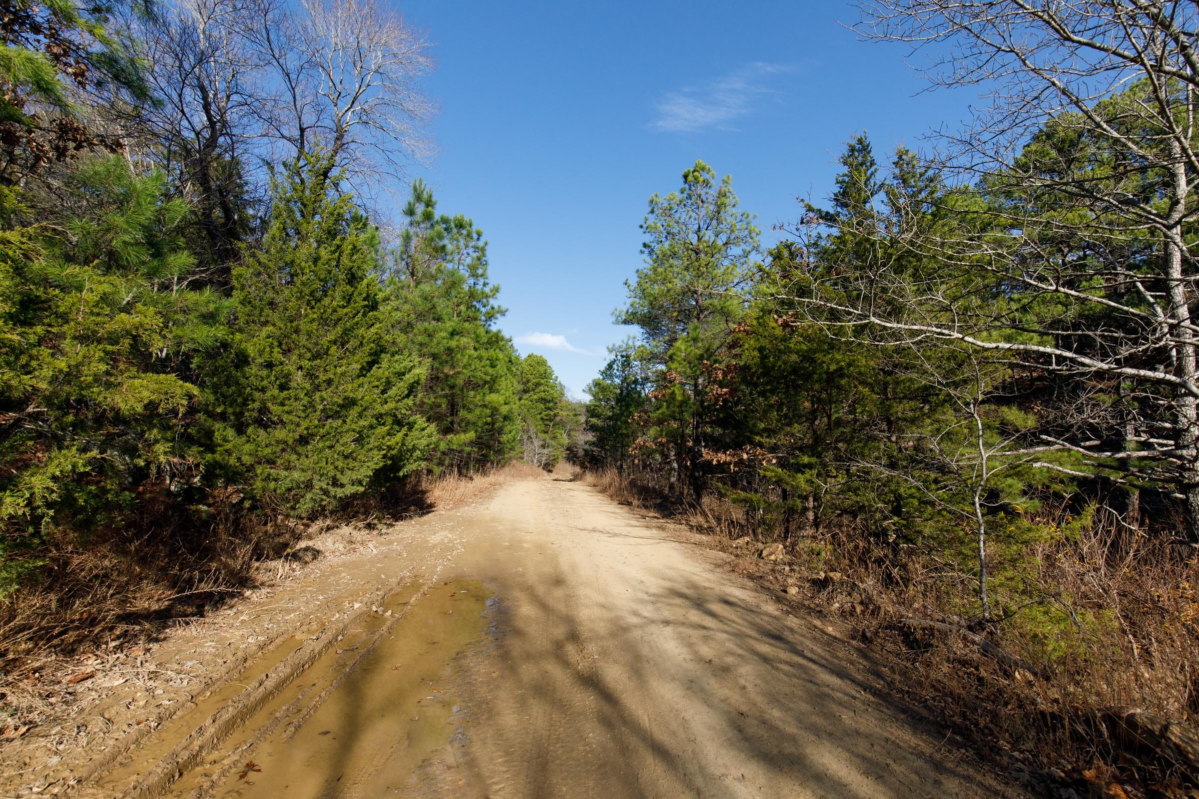 Stone Bridge Phase II Tract 74 photo 6