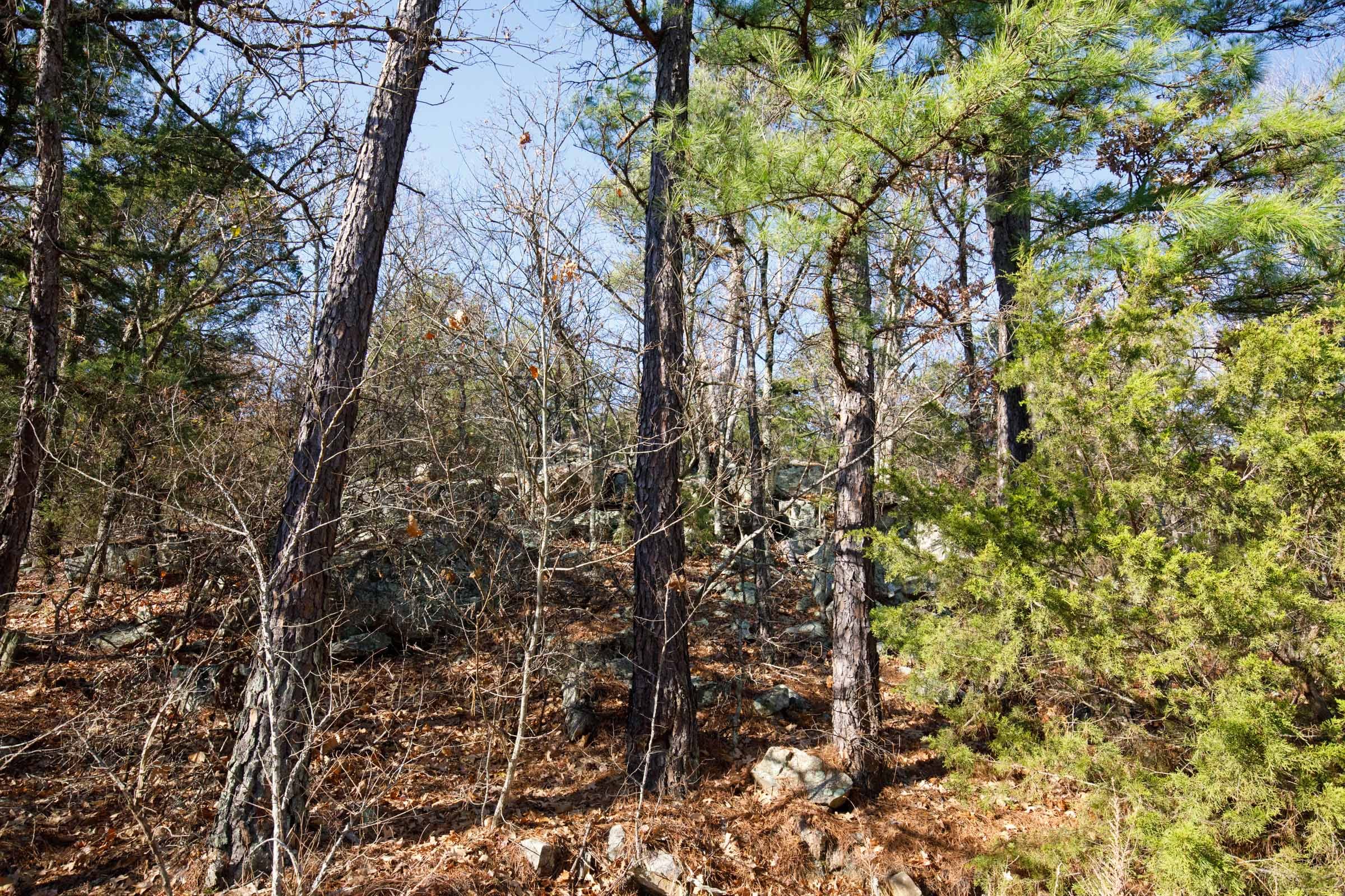 Stone Bridge Phase II Tract 74 photo 4