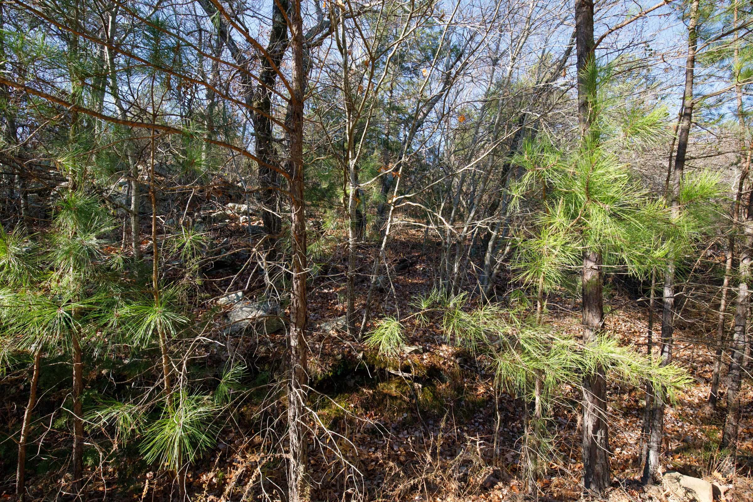 Stone Bridge Phase II Tract 74 photo 5