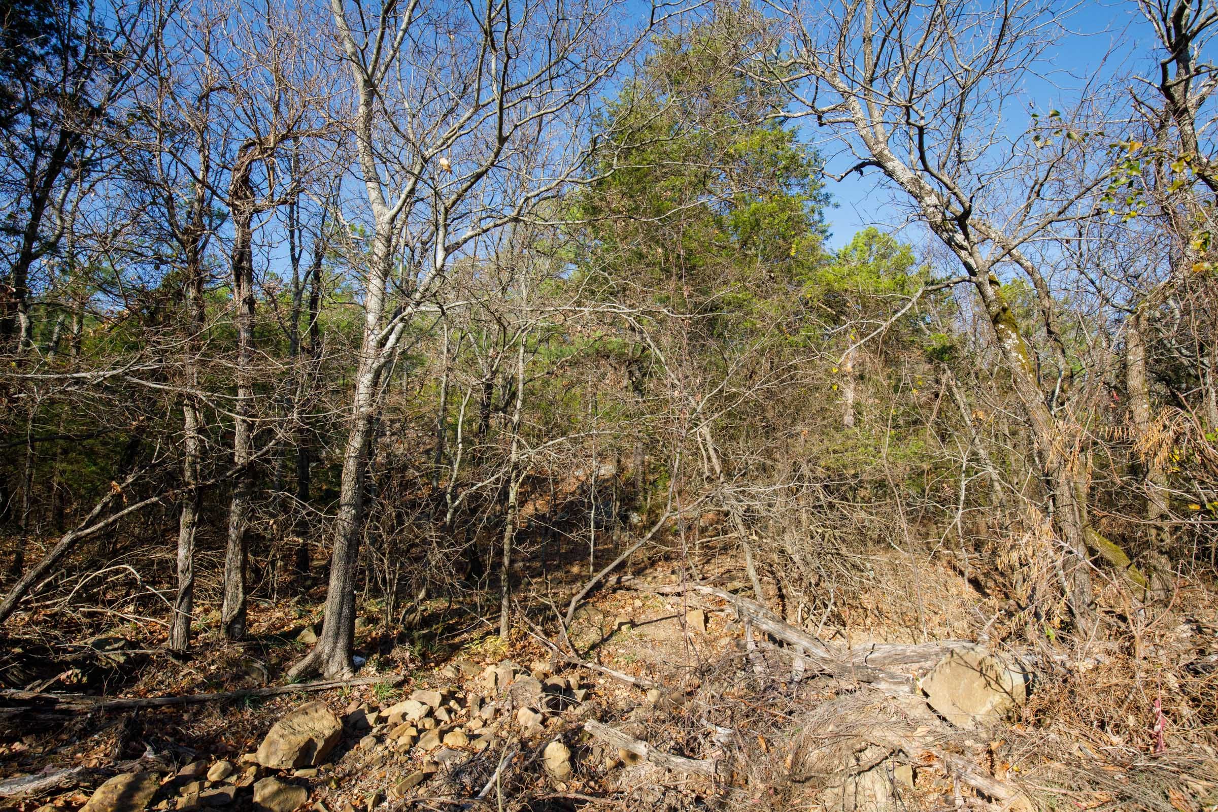 Stone Bridge Phase II Tract 74 photo 7