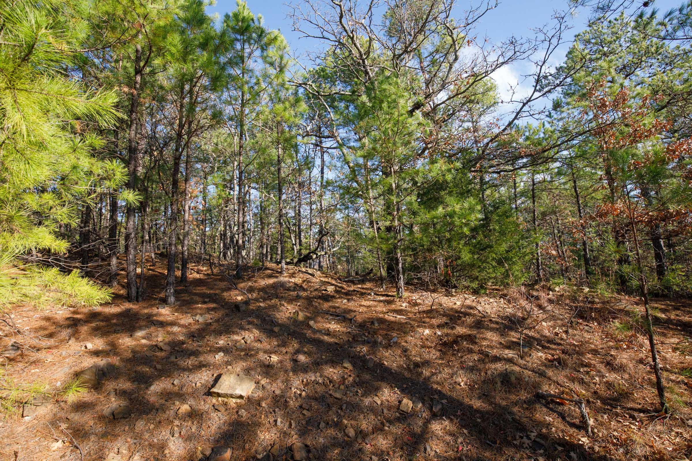 Stone Bridge Phase II Tract 74 photo 8