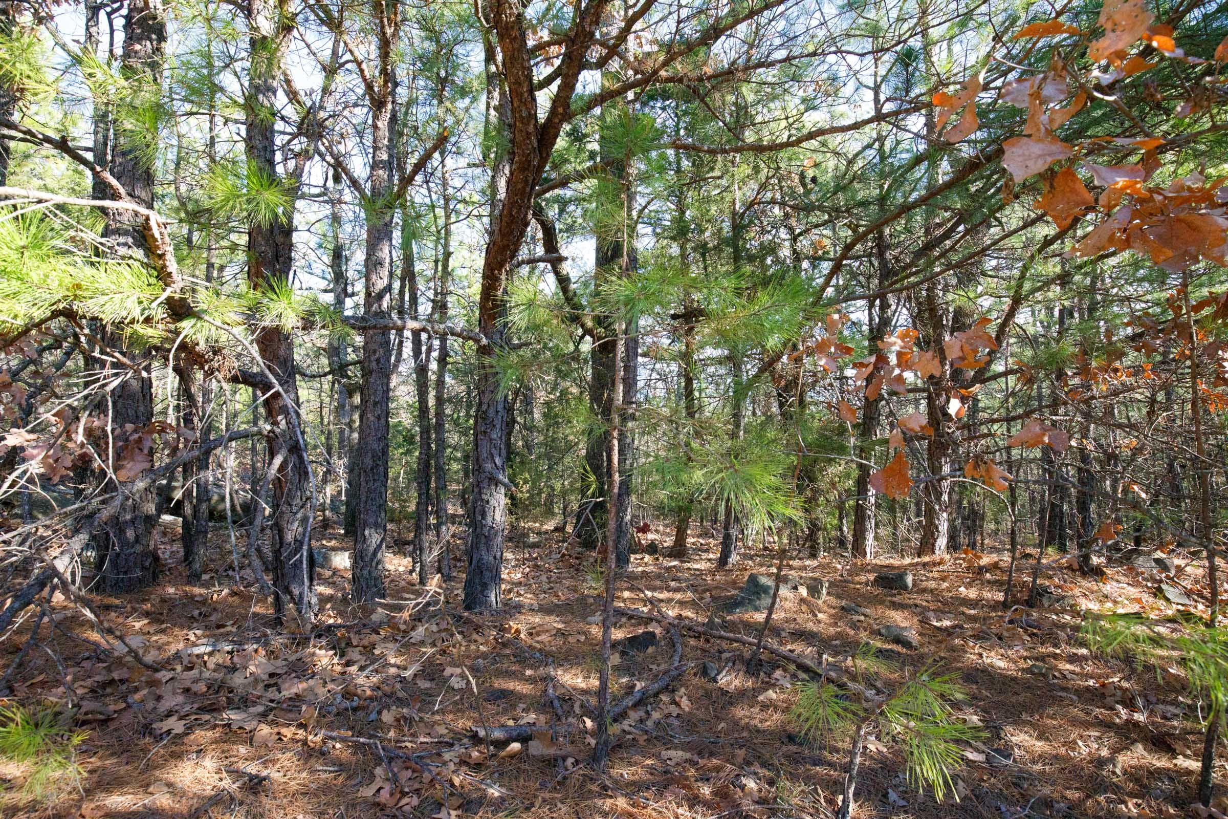 Stone Bridge Phase II Tract 74 photo 10