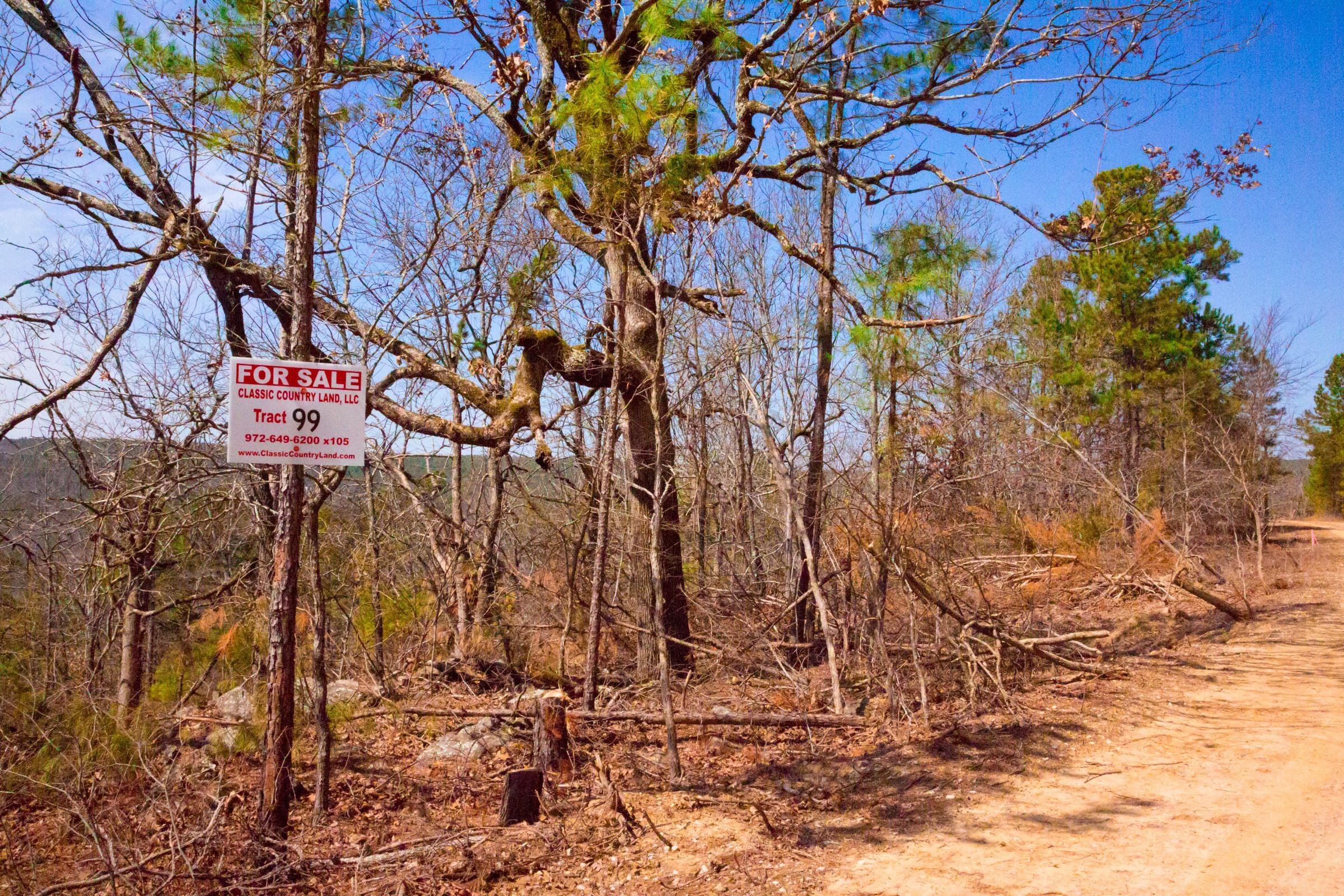 Stone Creek Phase II Tract 99 photo 1
