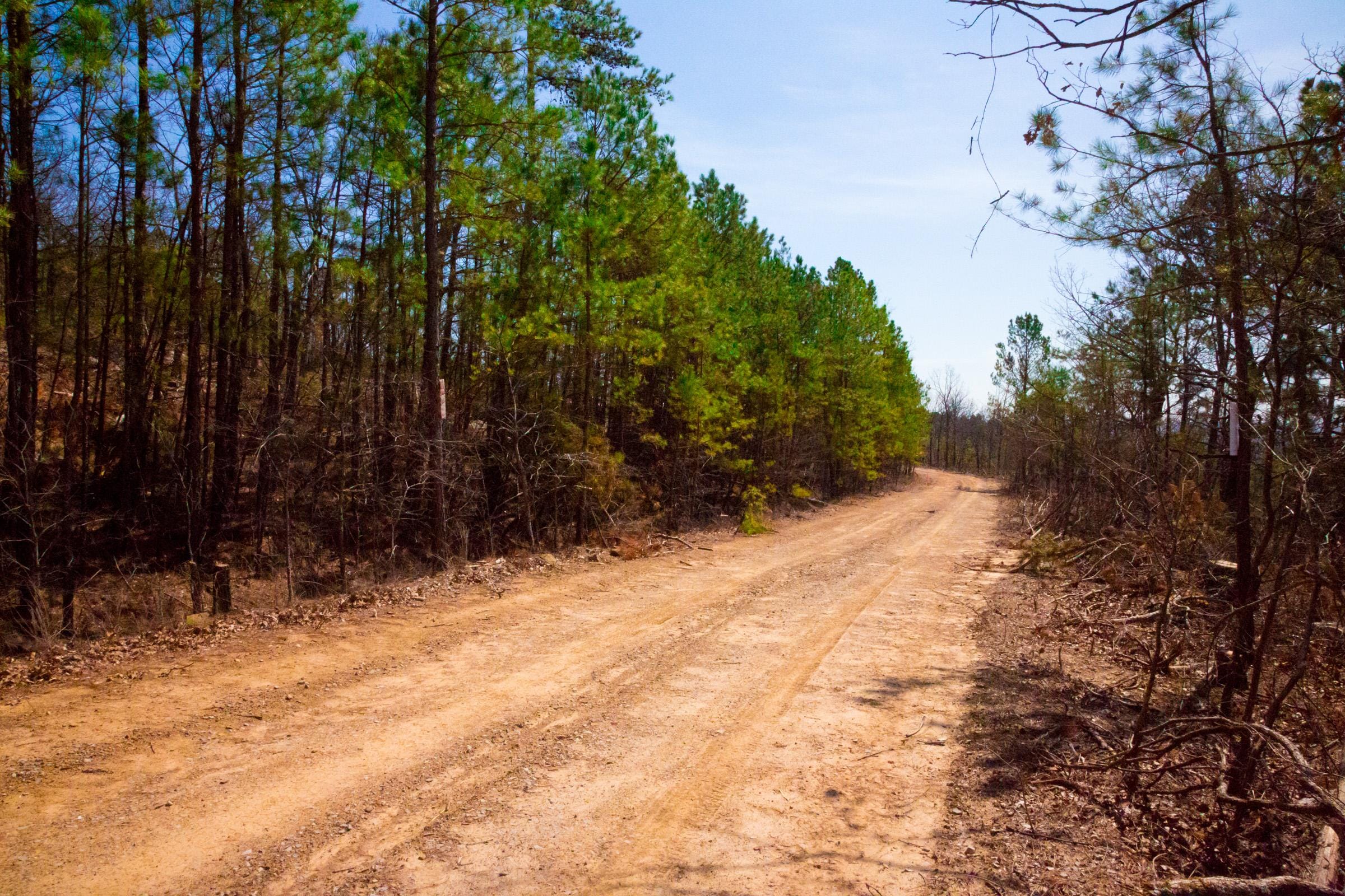 Stone Creek Phase II Tract 99 photo 5