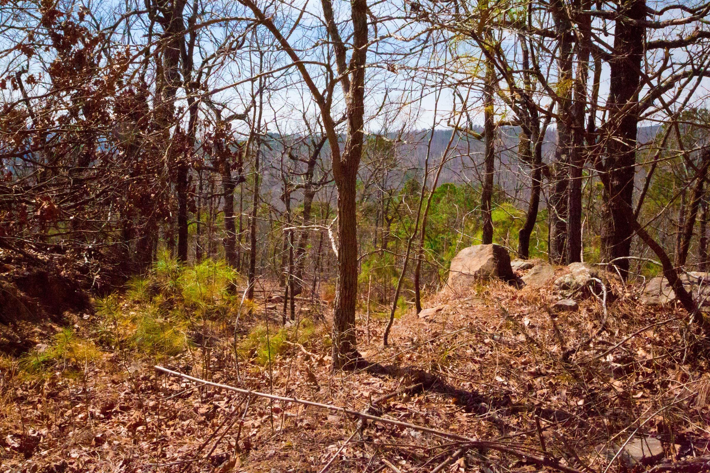 Stone Creek Phase II Tract 99 photo 8