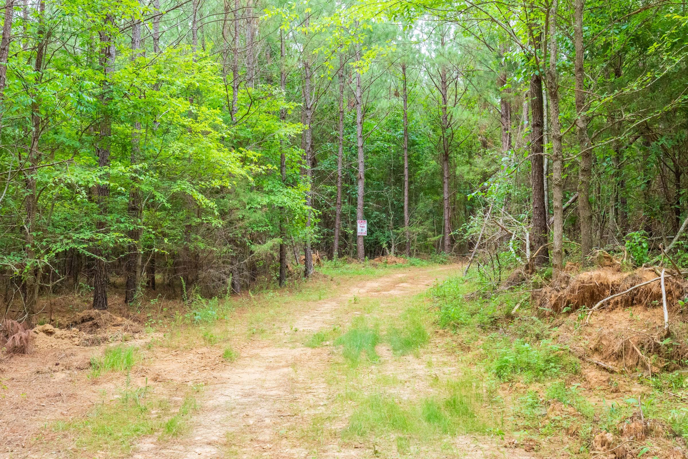 Whiskey Ridge Tract 83 photo 1