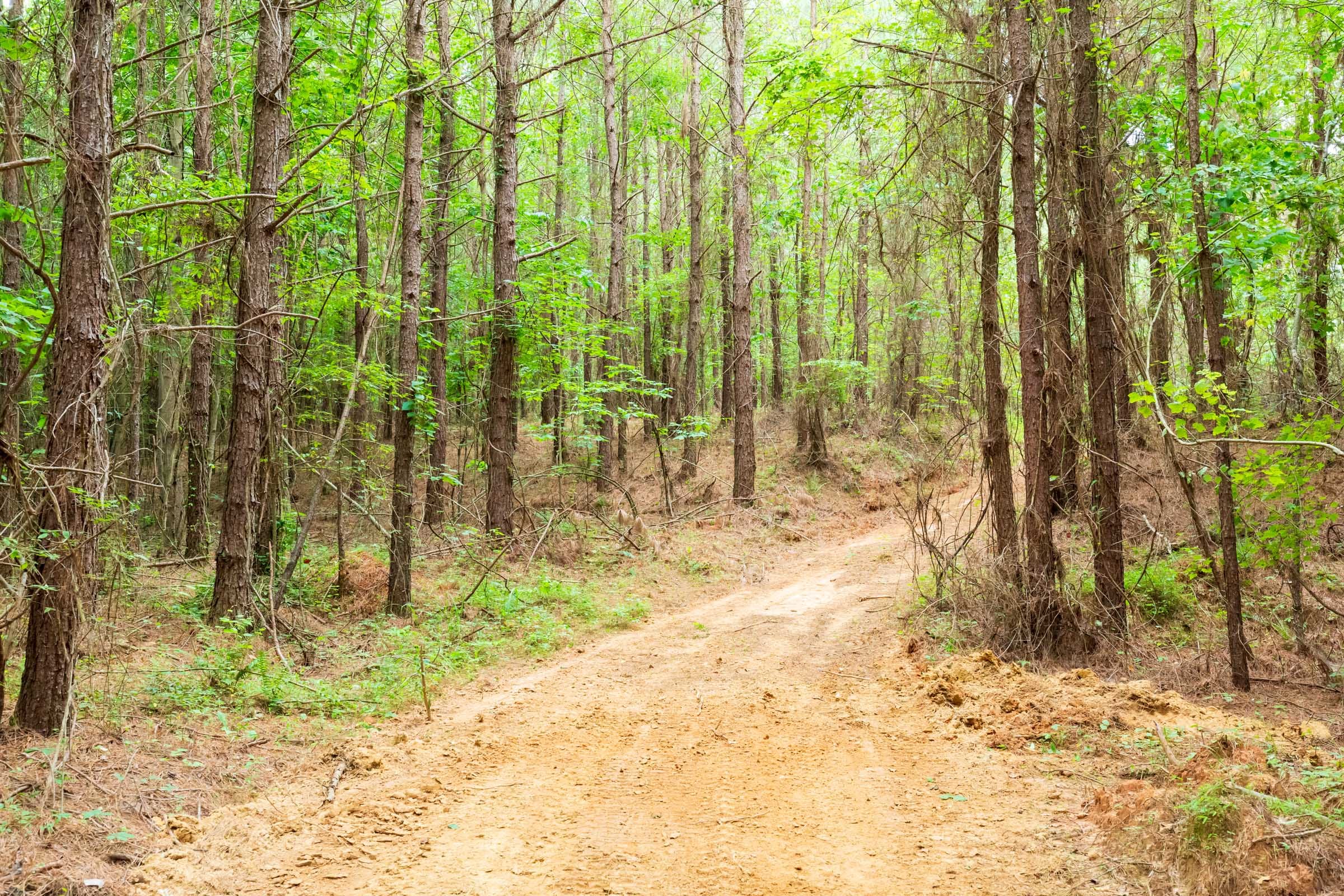 Whiskey Ridge Tract 83 photo 4