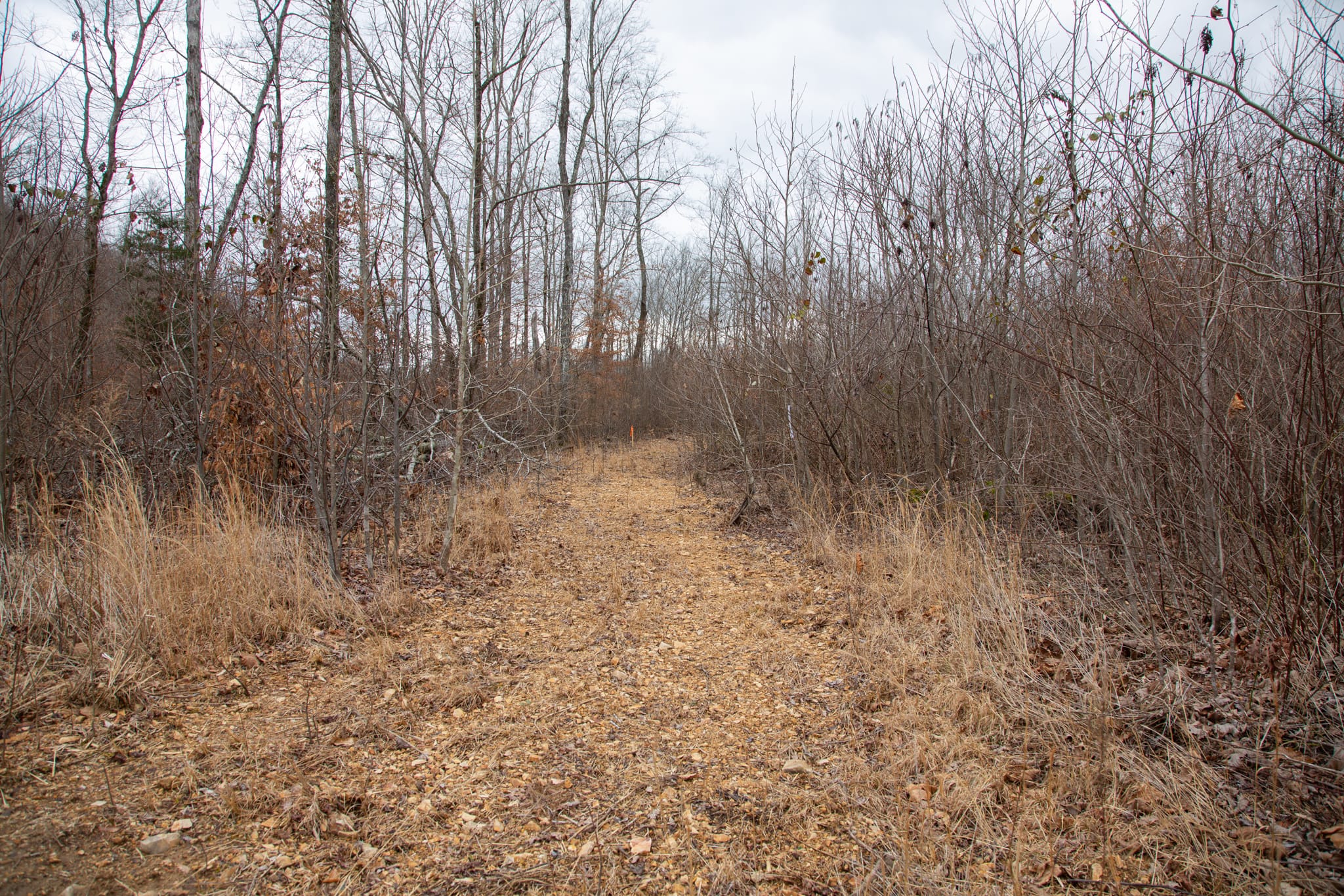 Southwind Ranch Tract 9 photo 2