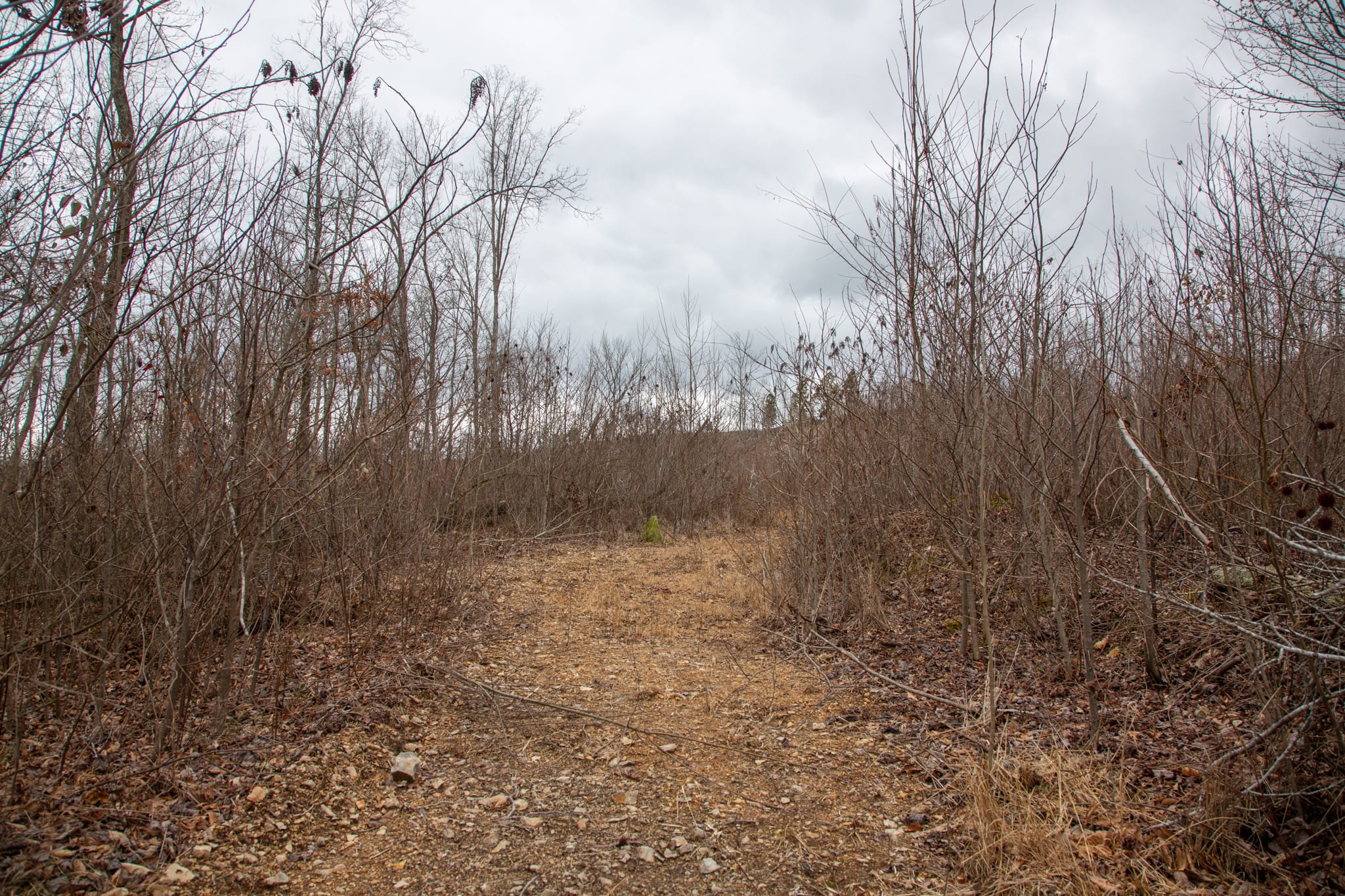 Southwind Ranch Tract 9 photo 6