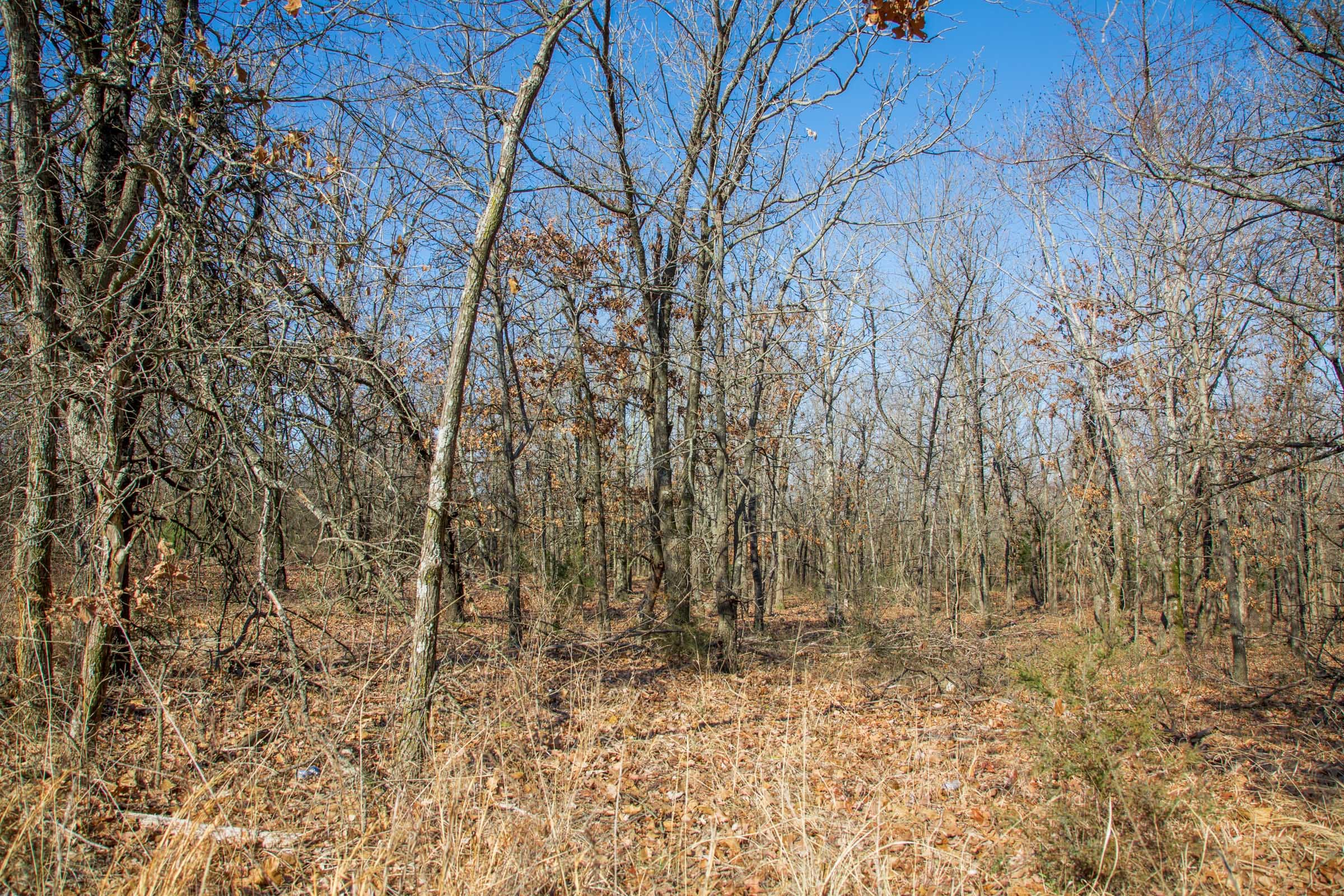 Eufaula Cove Tract 18 photo 3