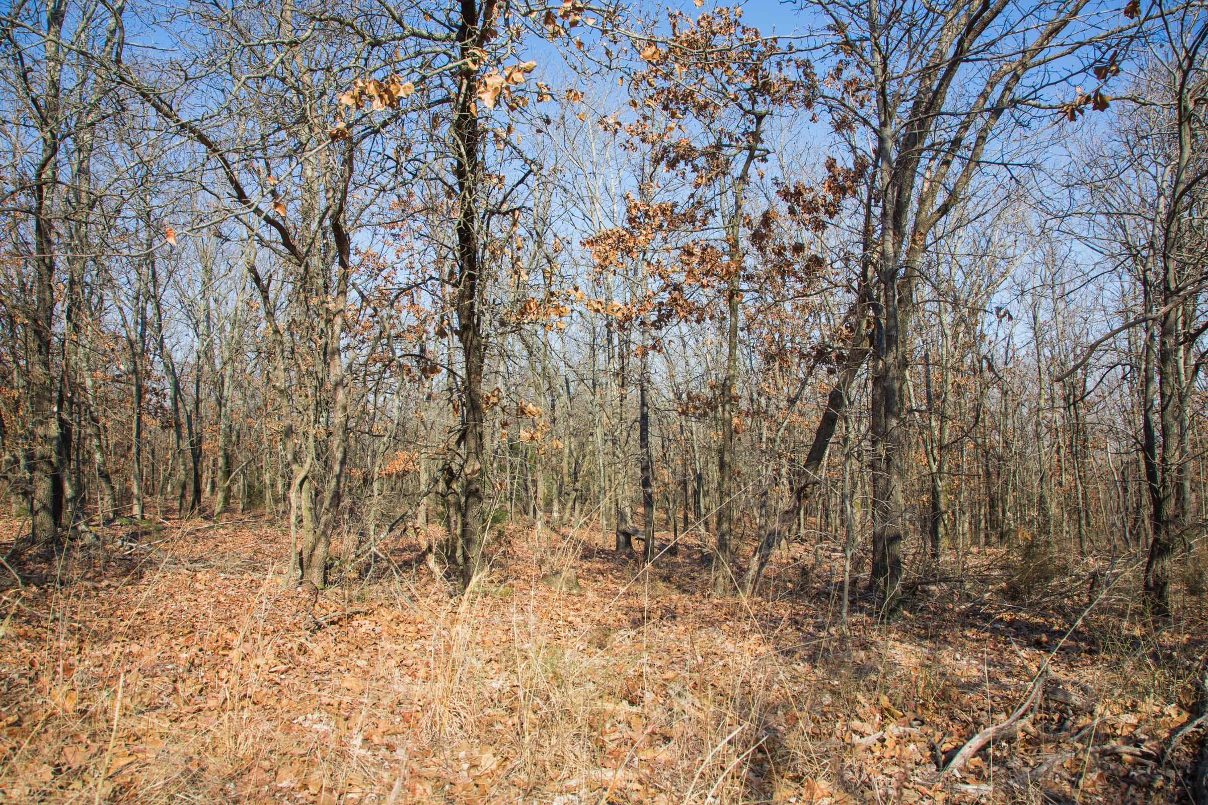 Eufaula Cove Tract 18 photo 5