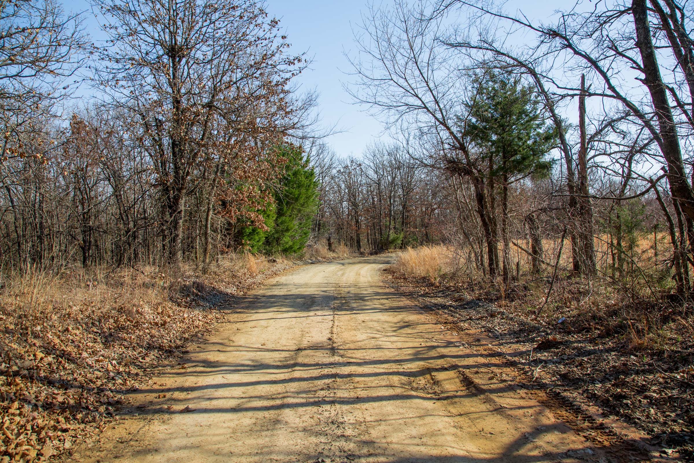 Eufaula Cove Tract 18 photo 9
