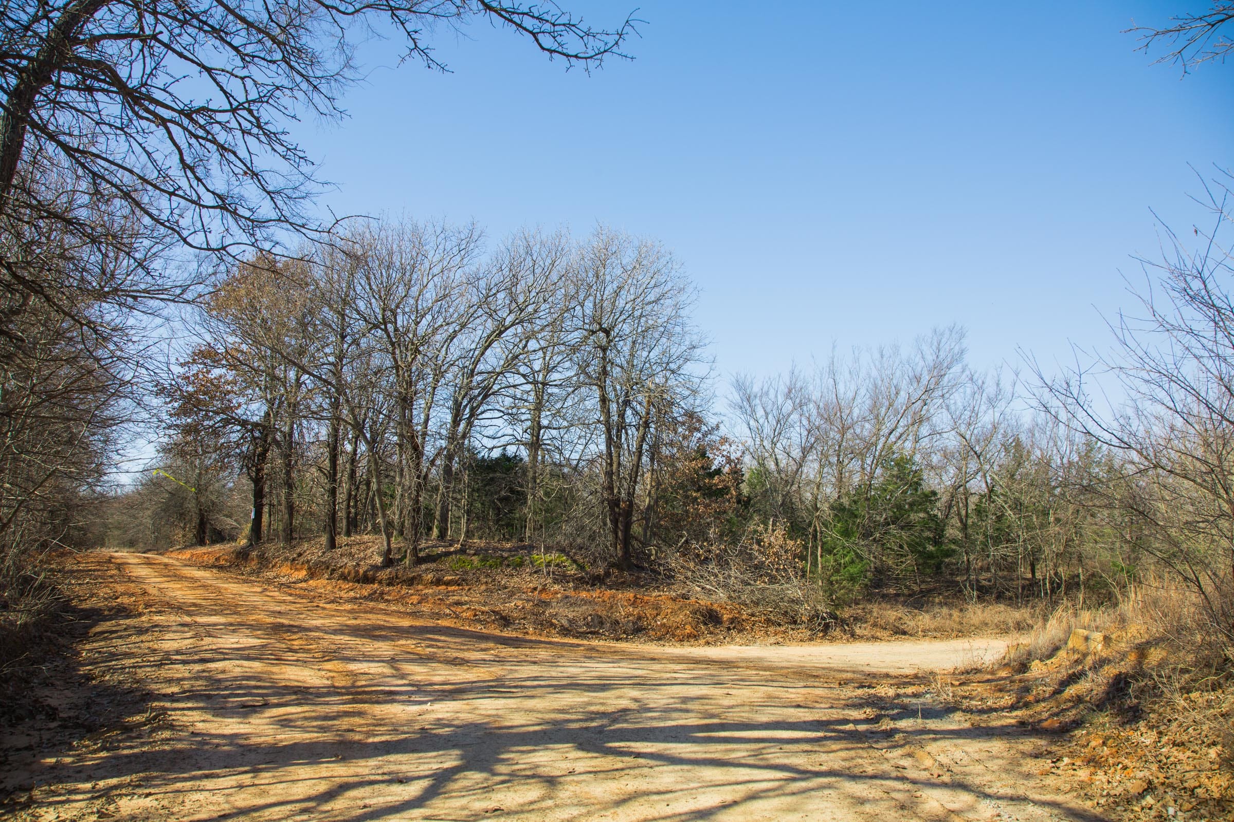 Eufaula Cove Tract 18 photo 11