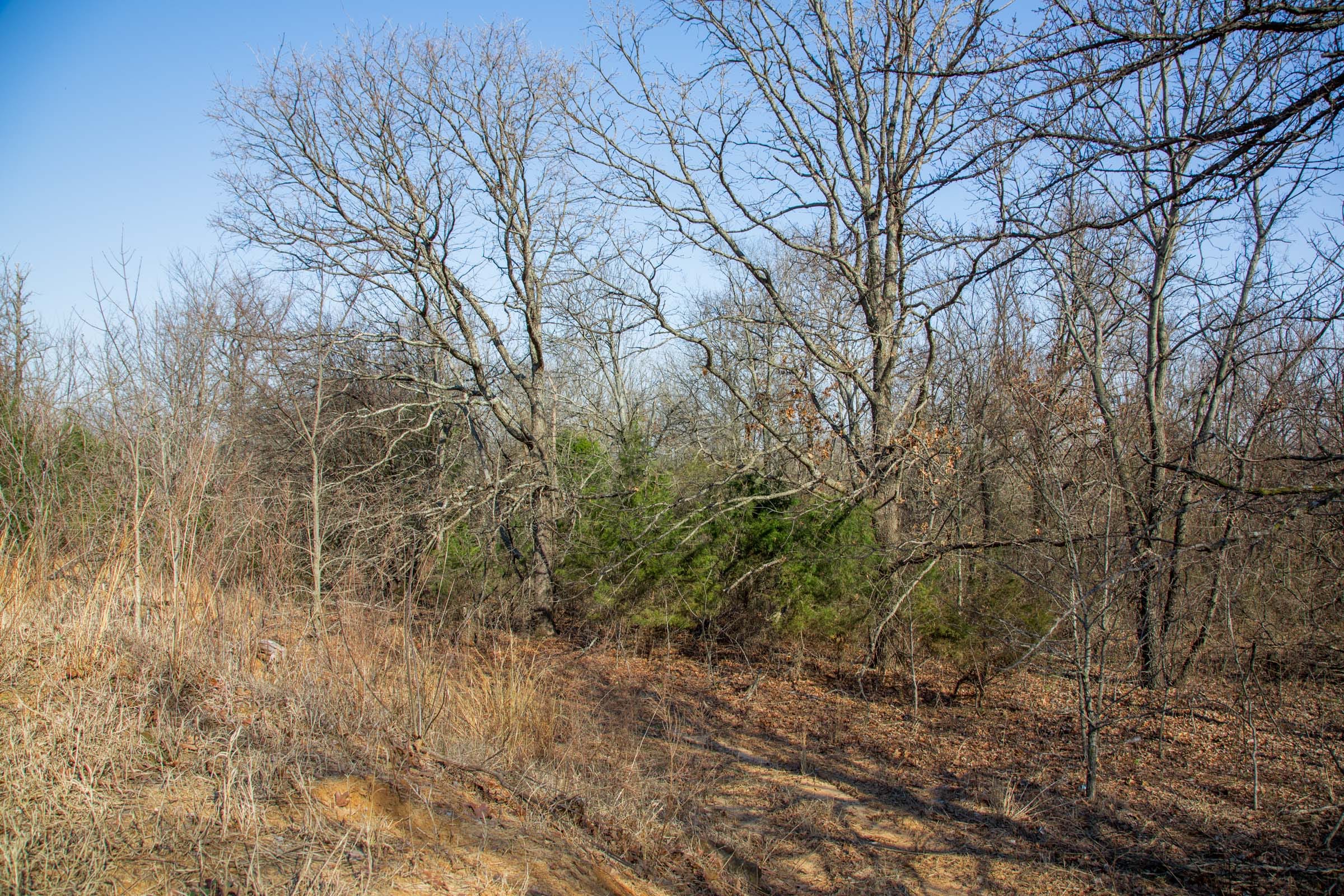 Eufaula Cove Tract 18 photo 12