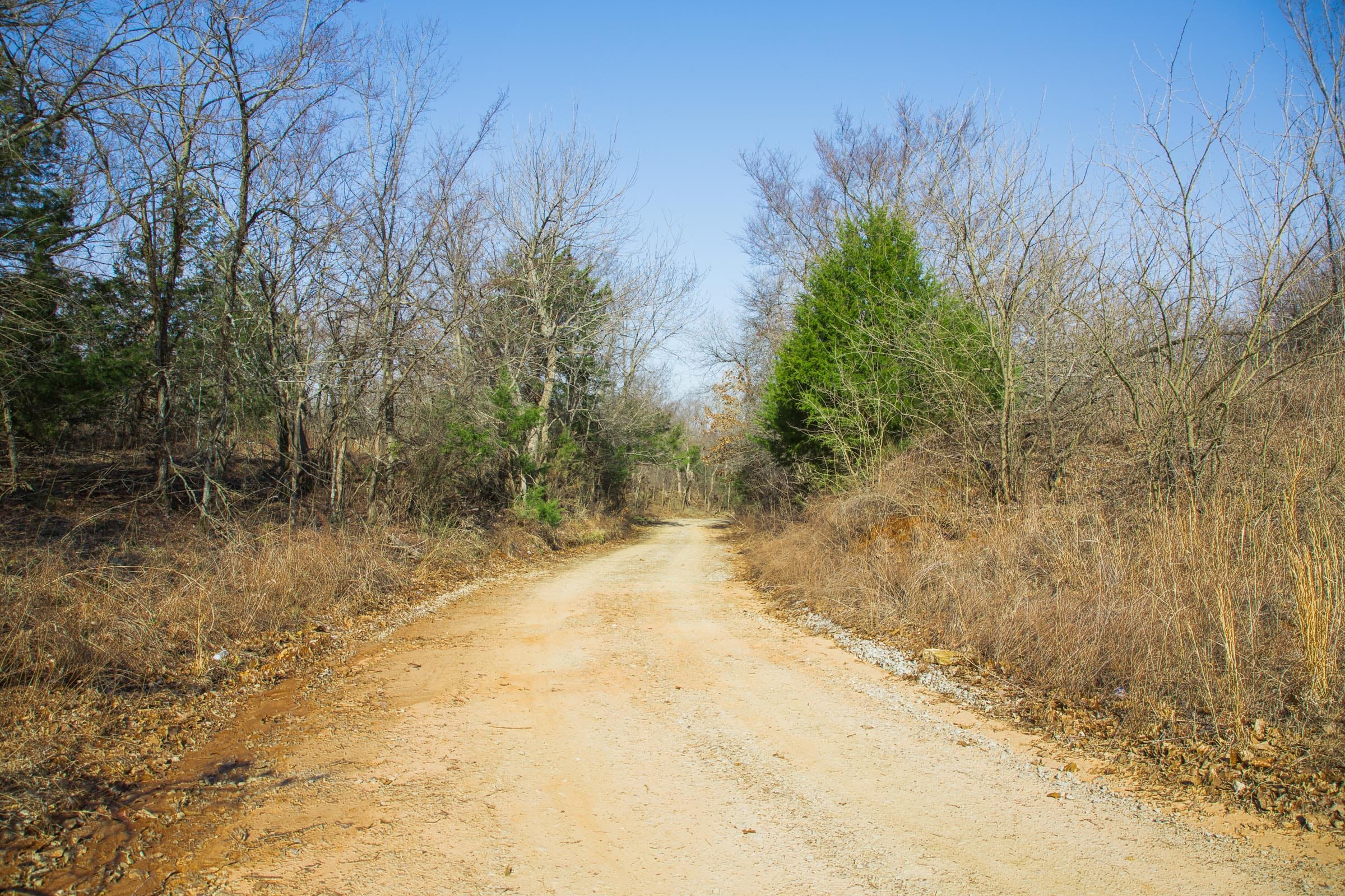 Eufaula Cove Tract 18 photo 13