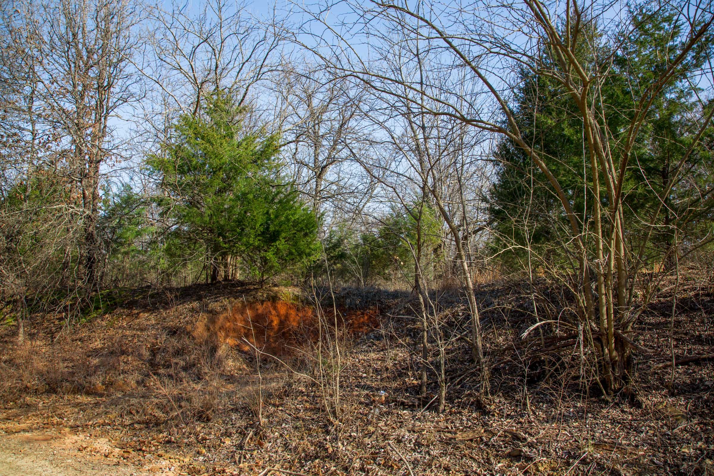 Eufaula Cove Tract 18 photo 14