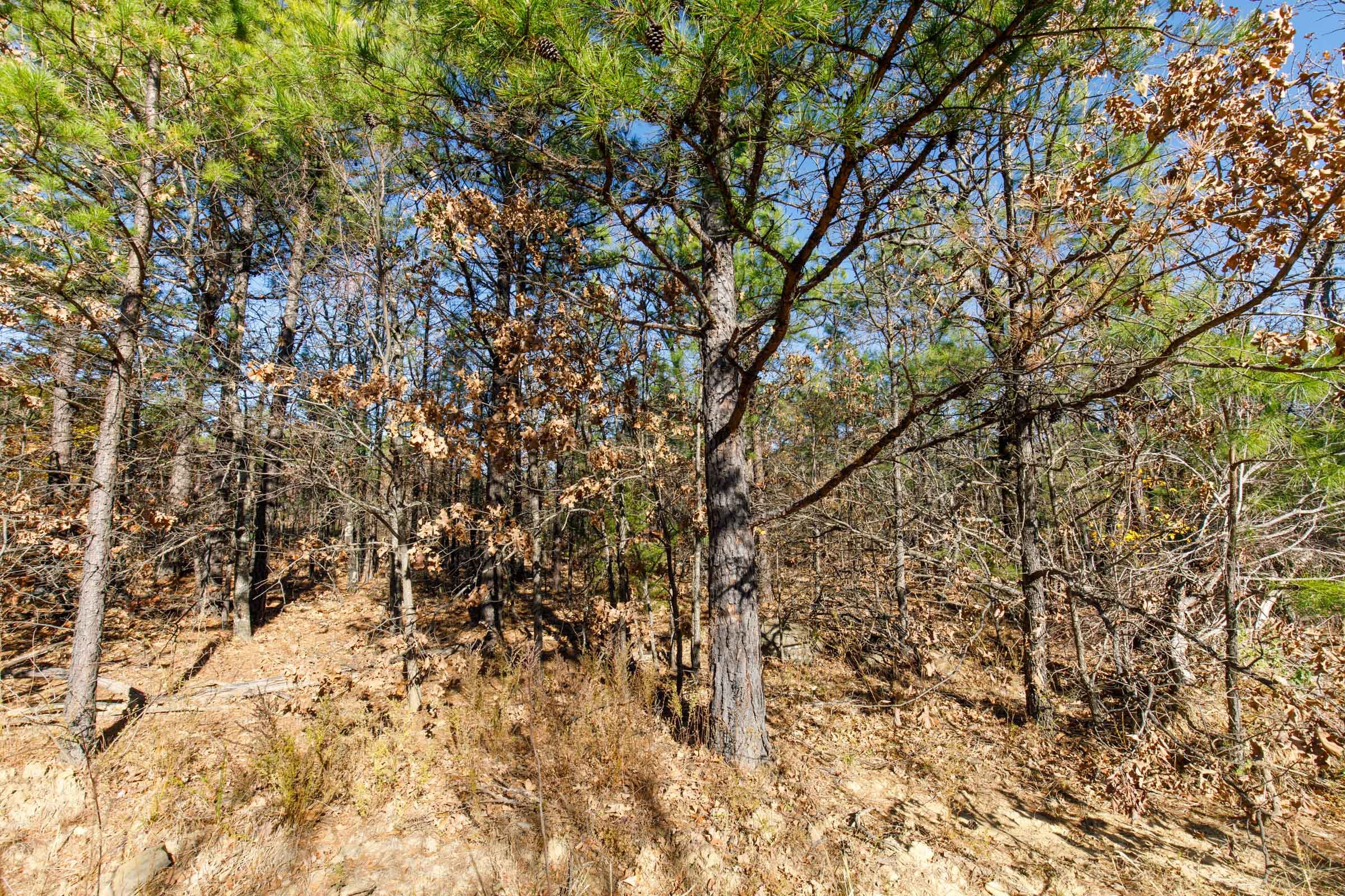 Stone Bridge Phase II Tract 131 photo 6