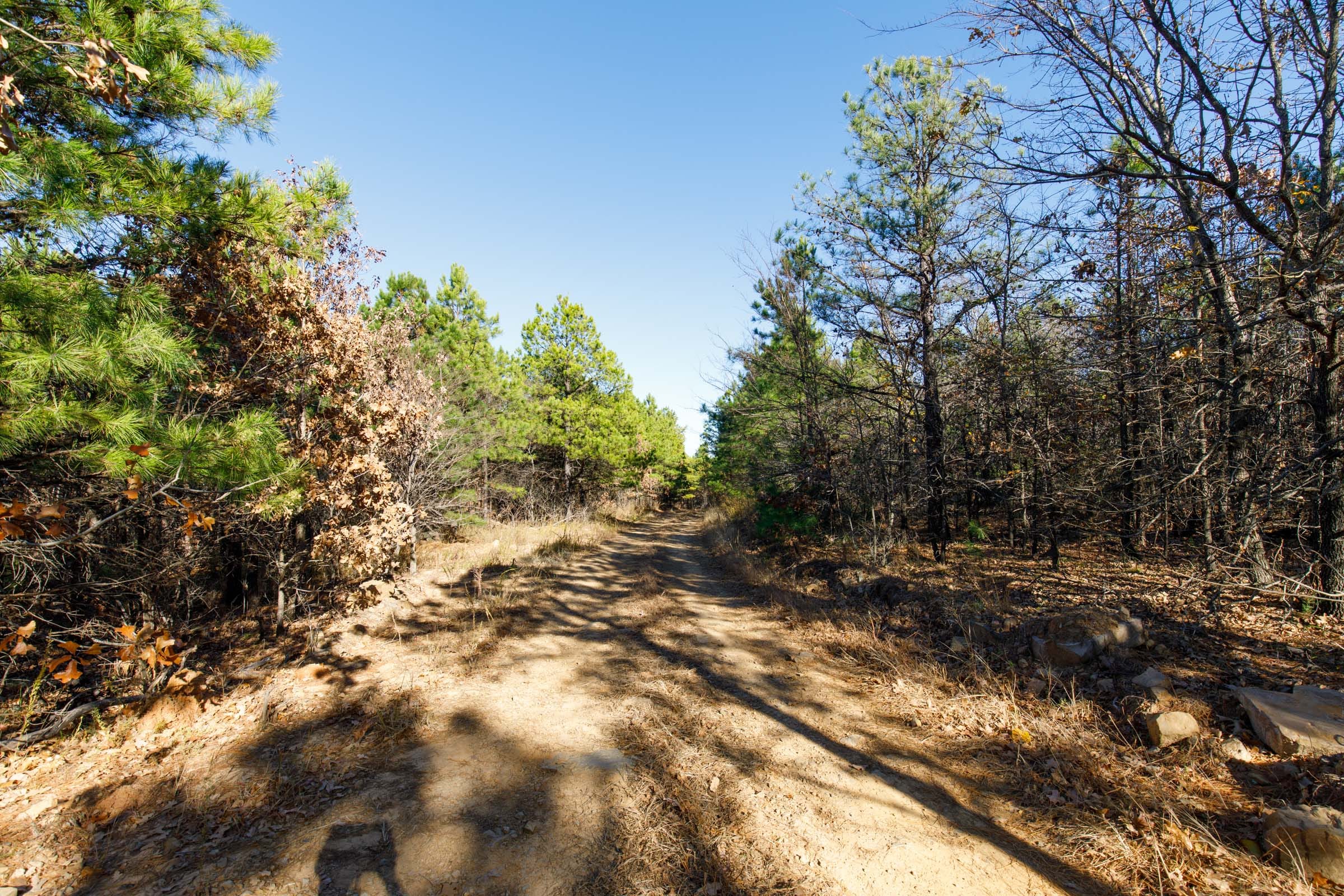 Stone Bridge Phase II Tract 131 photo 10