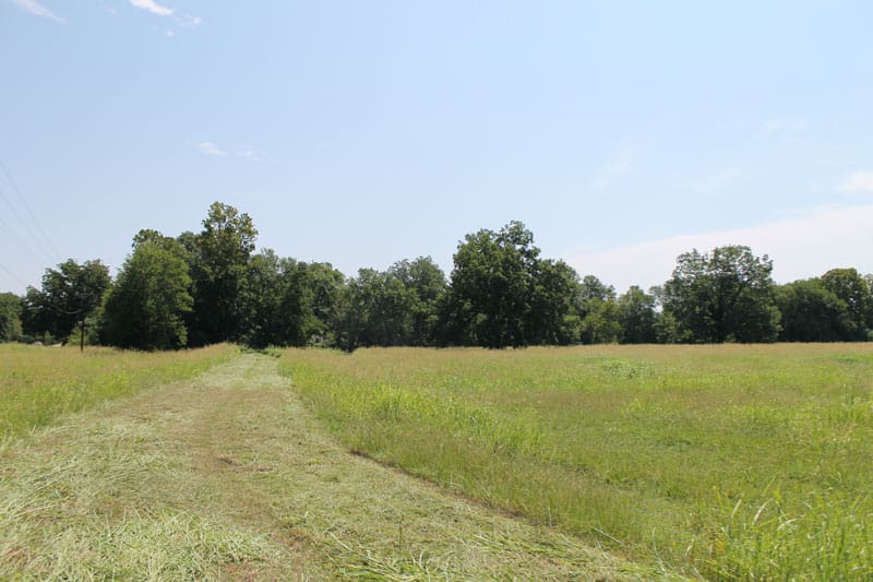 McCoy Creek Ranch Tract 1 photo 2