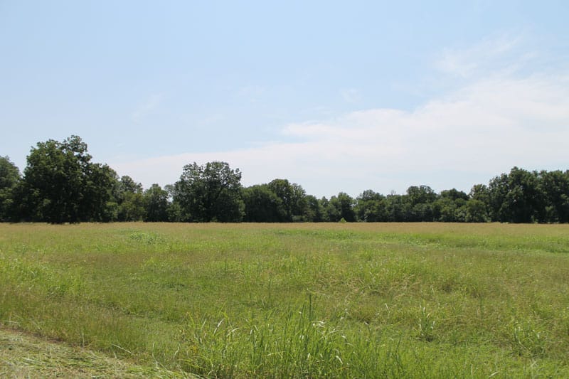 McCoy Creek Ranch Tract 1 photo 3