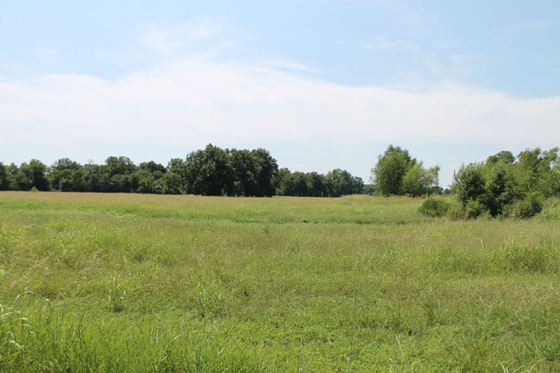 McCoy Creek Ranch Tract 1 photo 4