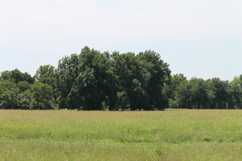 McCoy Creek Ranch Tract 1 photo 5