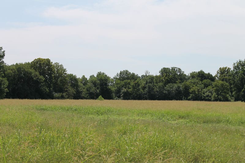 McCoy Creek Ranch Tract 1 photo 6