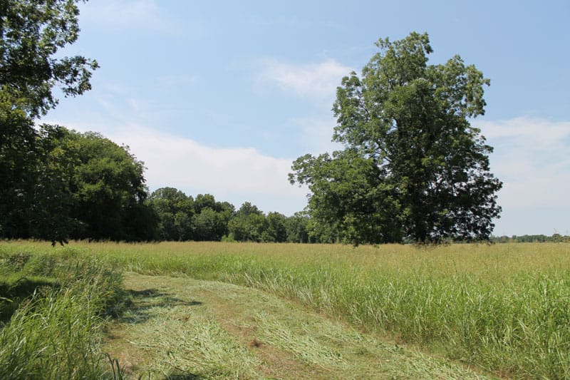 McCoy Creek Ranch Tract 1 photo 7