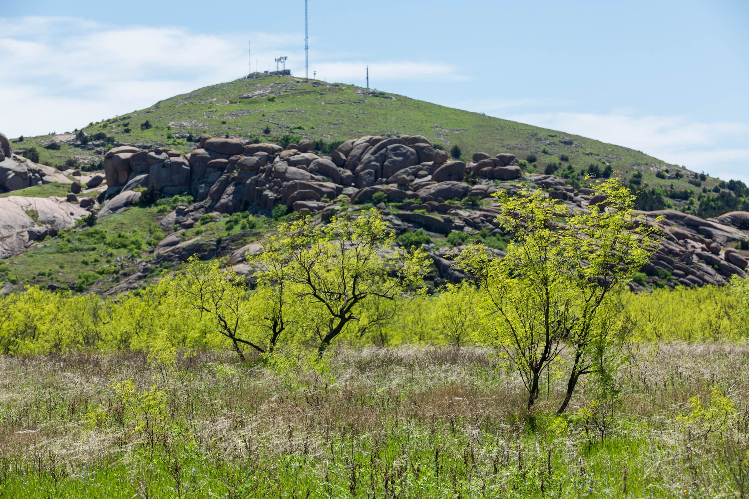 Hackberry Fields Tract 6 photo 3