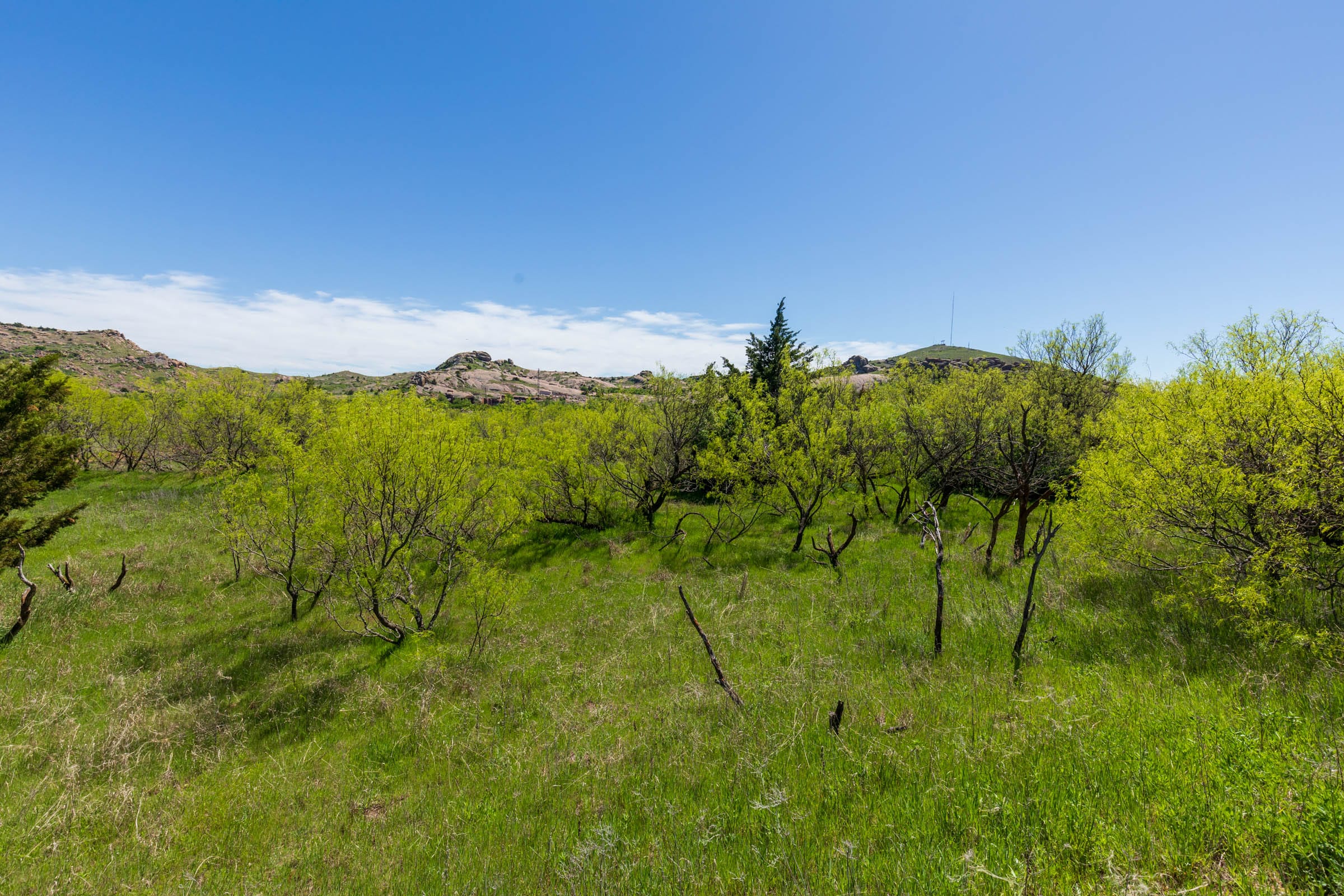 Hackberry Fields Tract 6 photo 9
