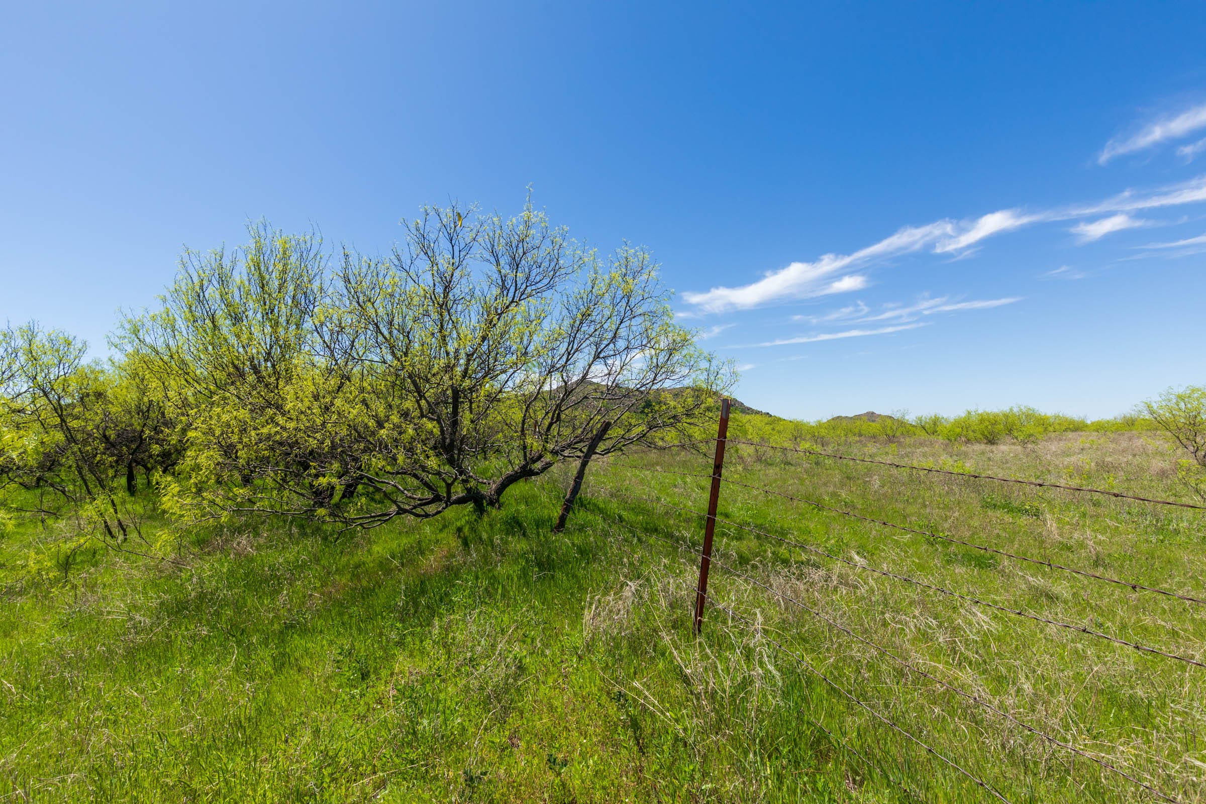 Hackberry Fields Tract 6 photo 12