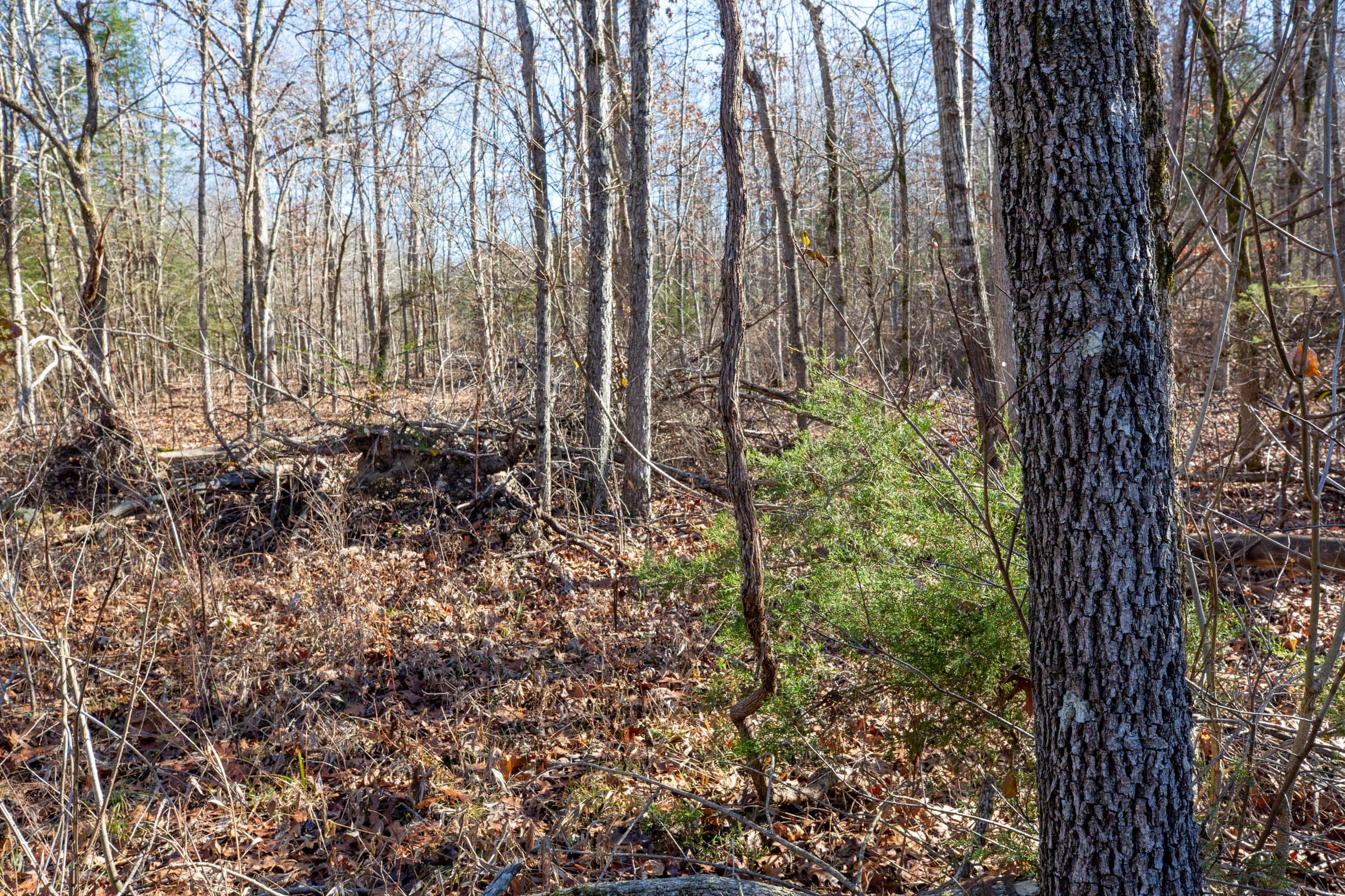 Dutchman Hollow Tract 14 photo 11