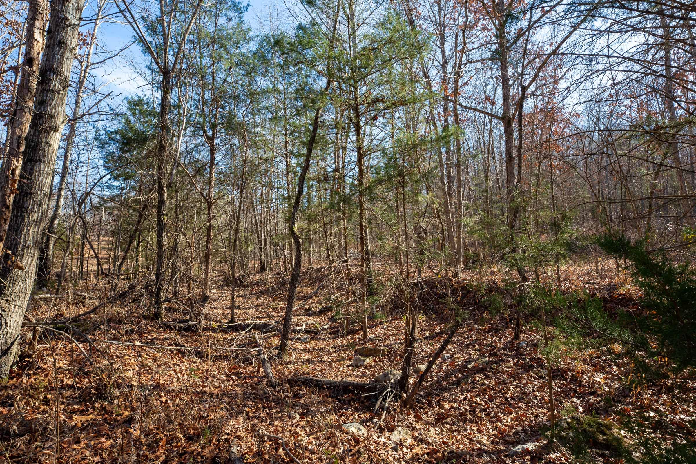 Dutchman Hollow Tract 14 photo 4