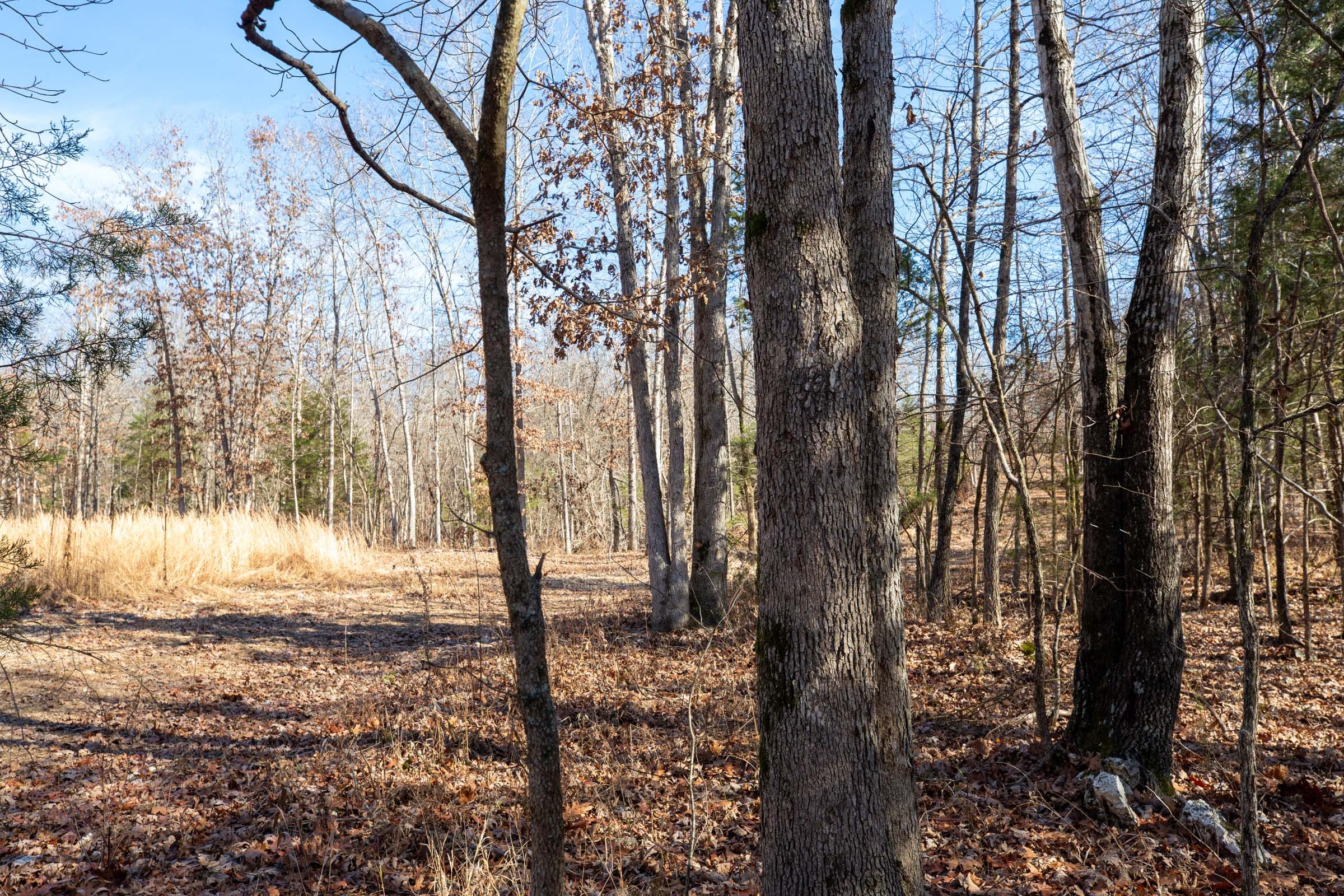 Dutchman Hollow Tract 14 photo 10