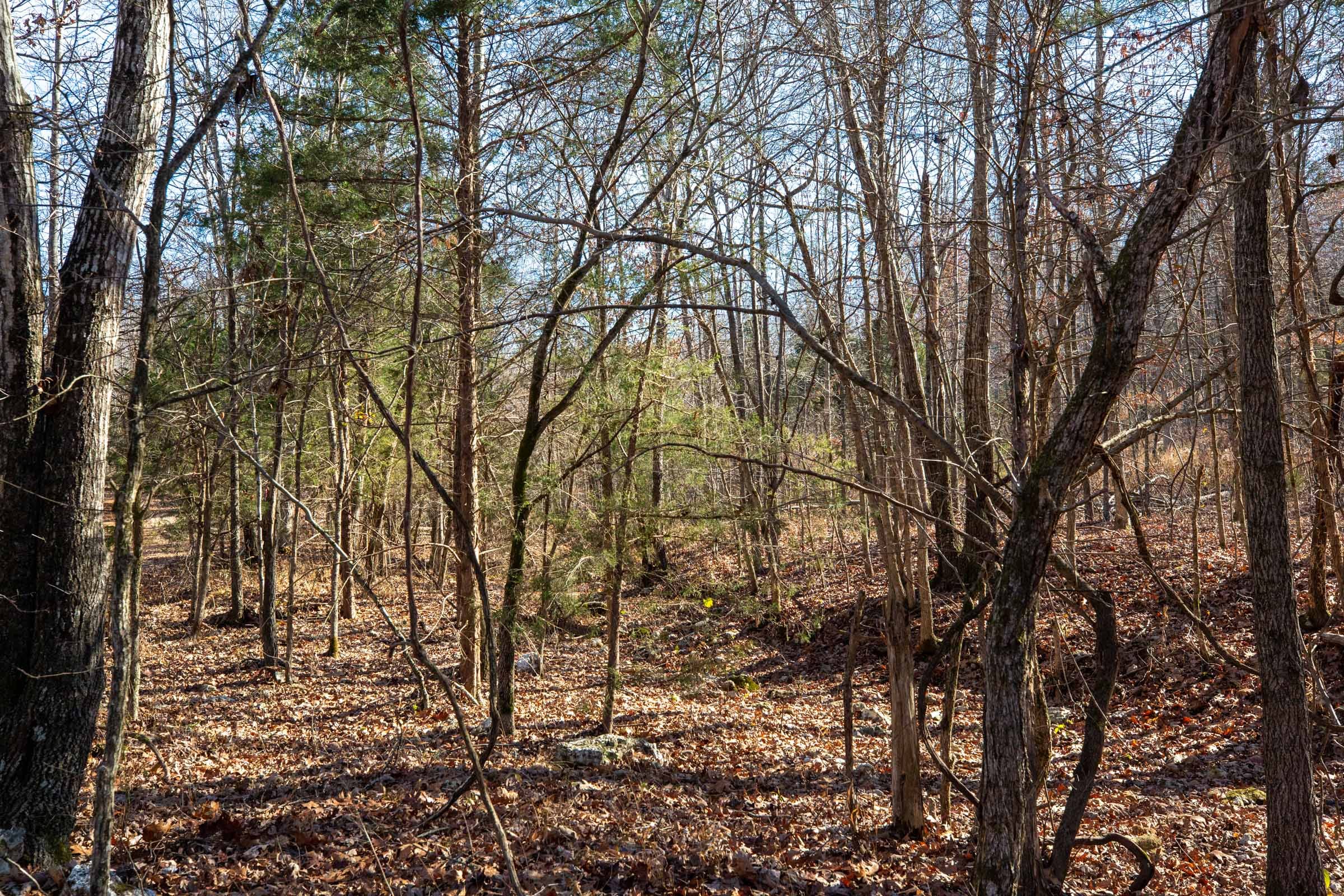 Dutchman Hollow Tract 14 photo 8