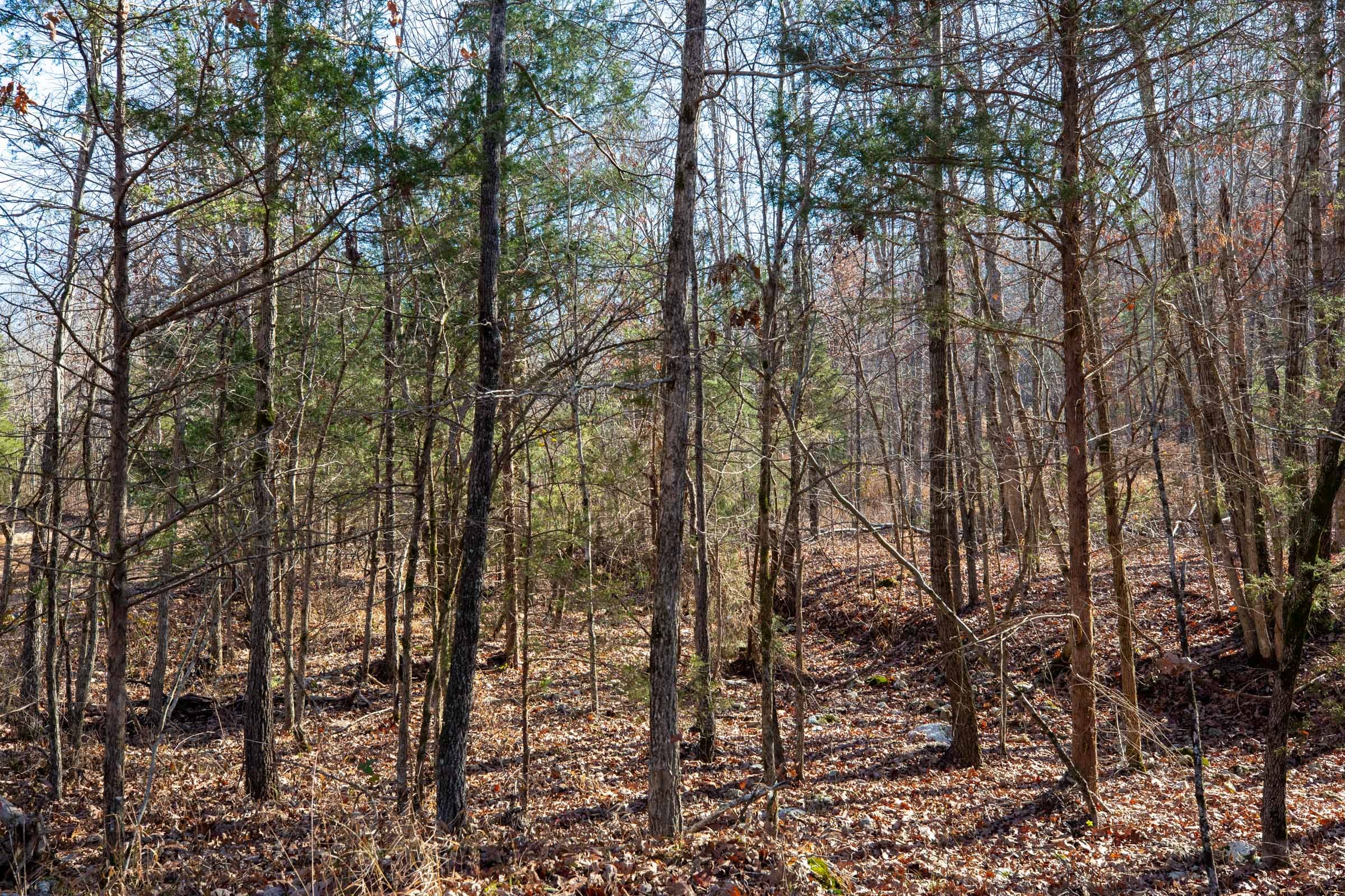 Dutchman Hollow Tract 14 photo 7