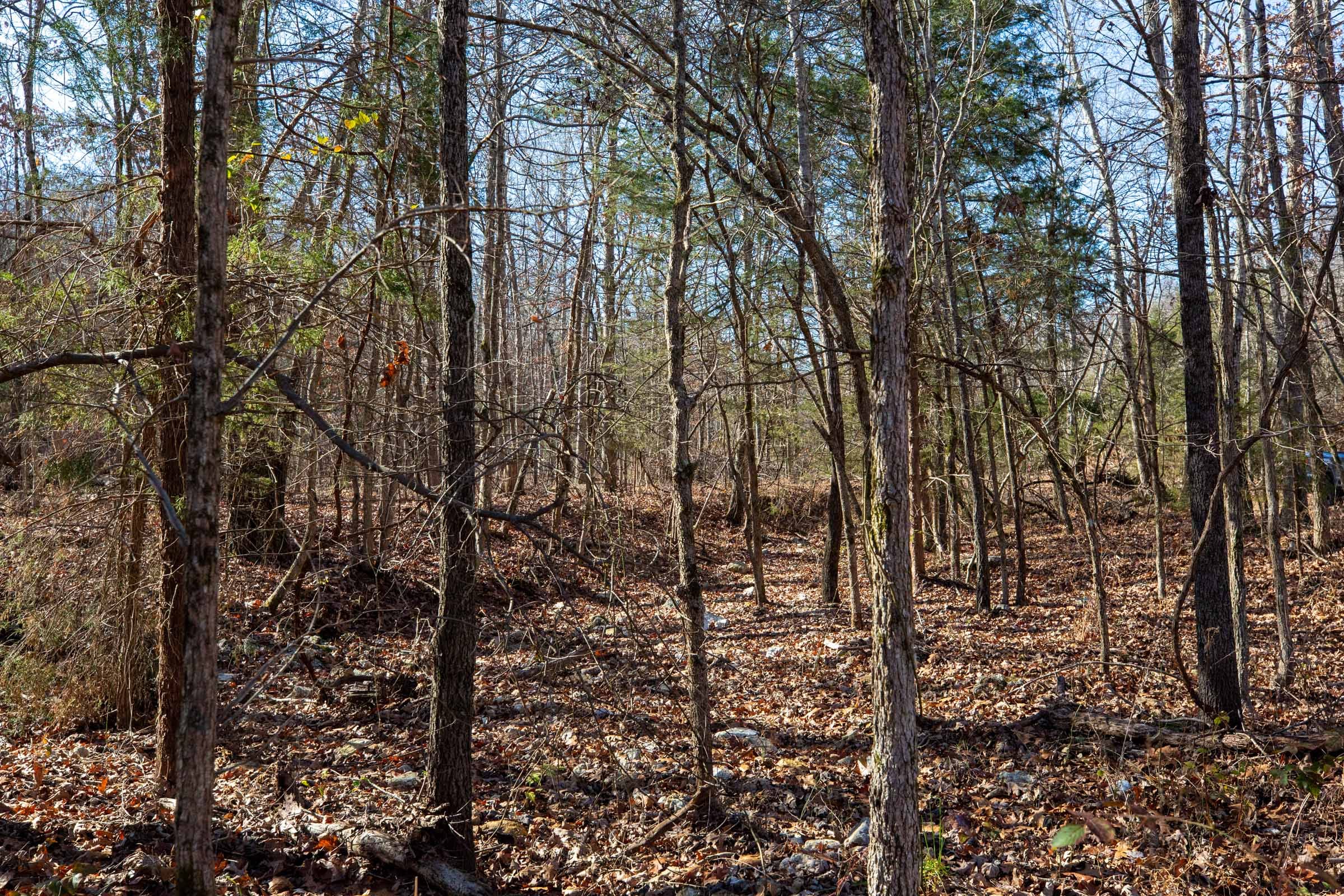 Dutchman Hollow Tract 14 photo 6