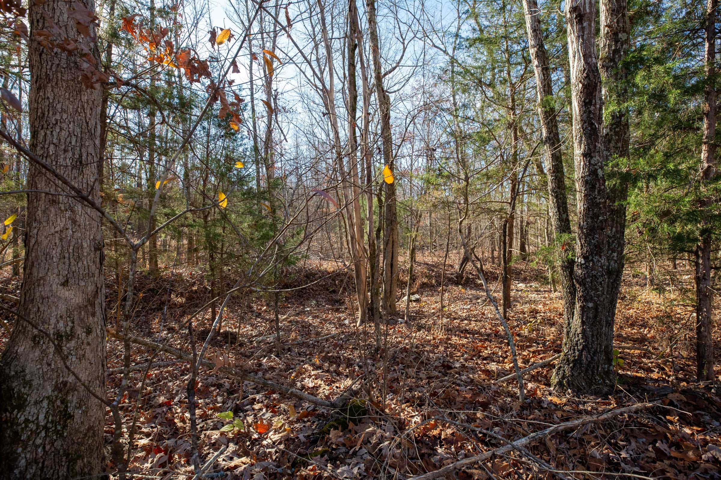 Dutchman Hollow Tract 14 photo 9