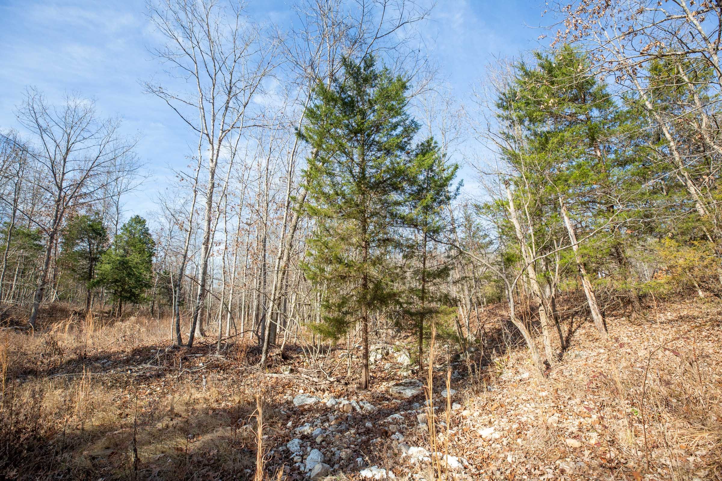 Dutchman Hollow Tract 14 photo 5