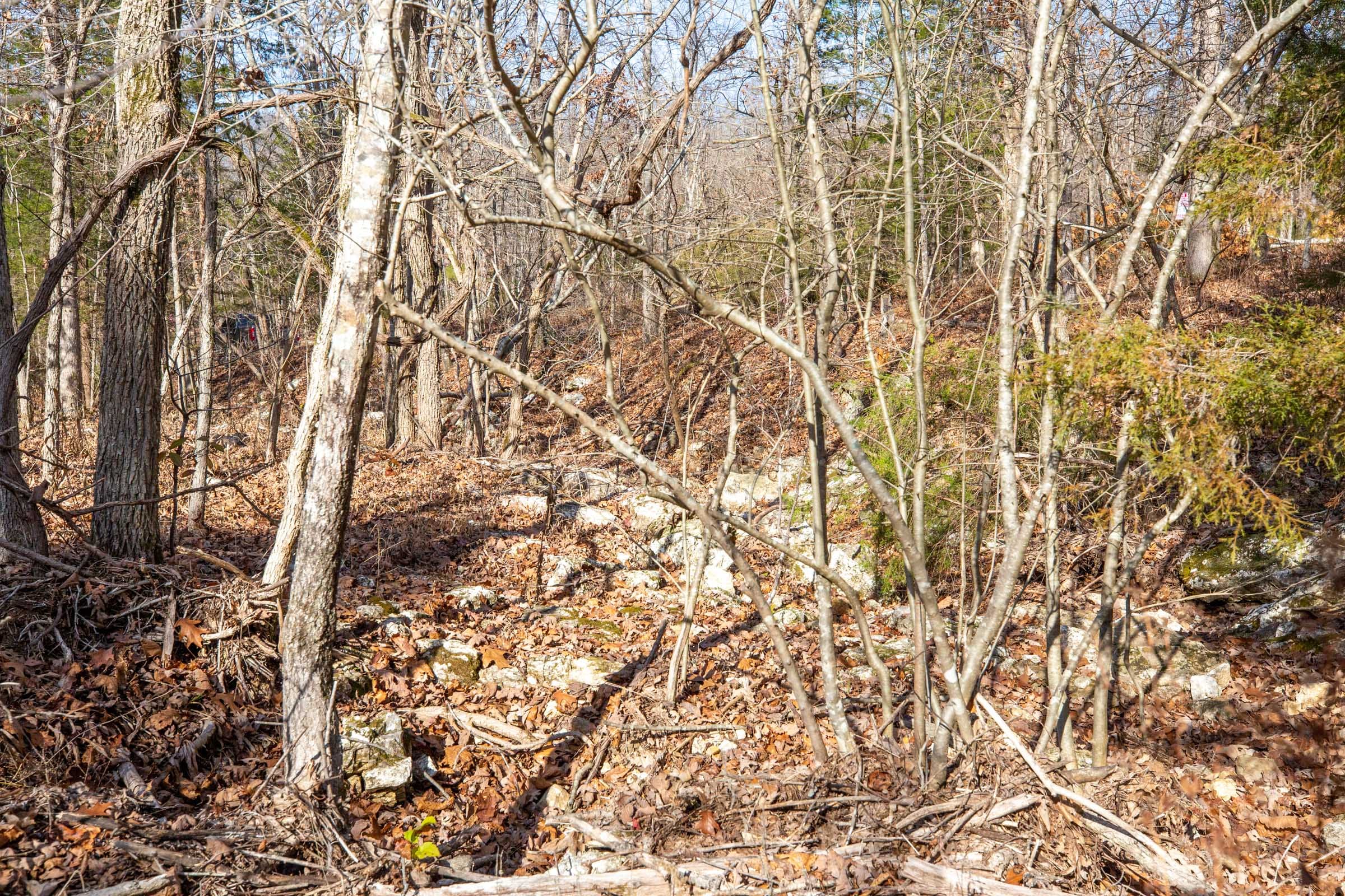 Dutchman Hollow Tract 14 photo 3