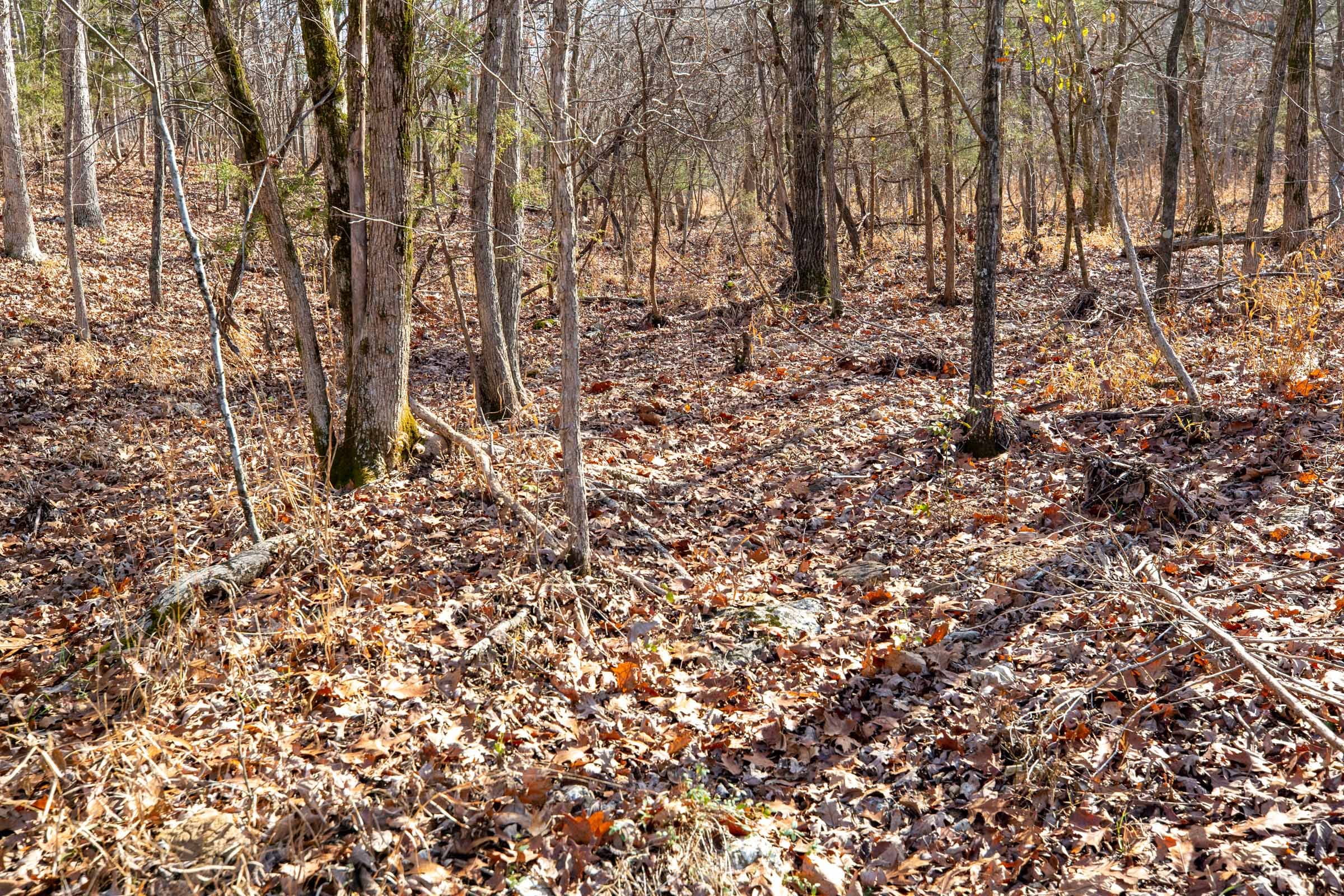 Dutchman Hollow Tract 14 photo 2