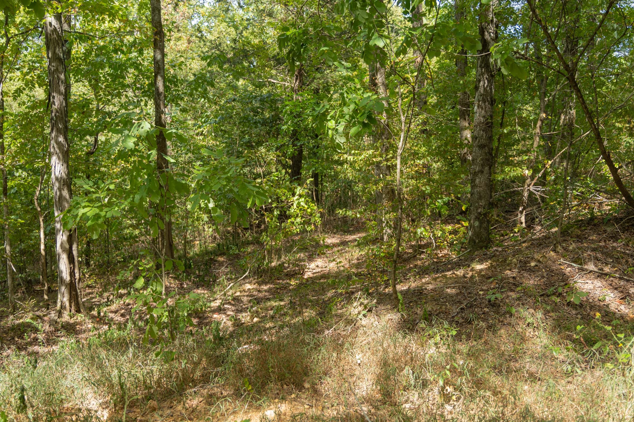 Big White Oak Tract 121 photo 10