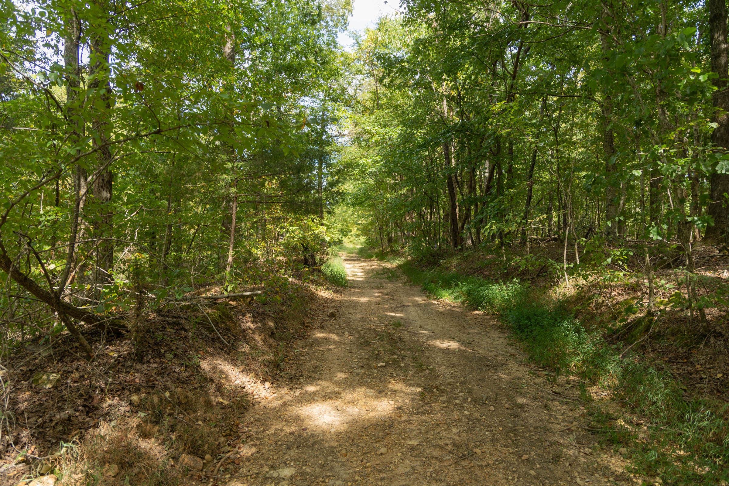 Big White Oak Tract 121 photo 6