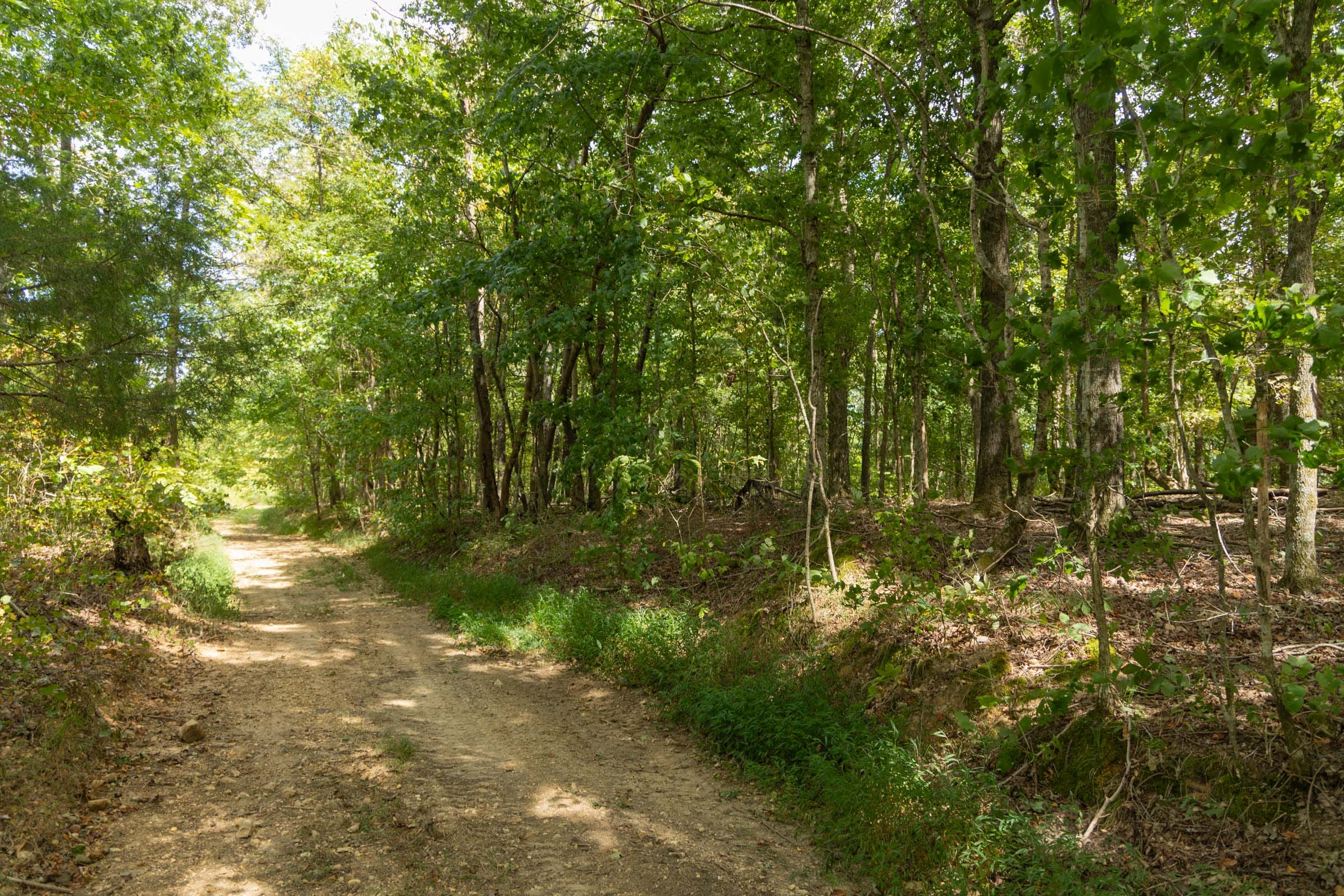 Big White Oak Tract 121 photo 5