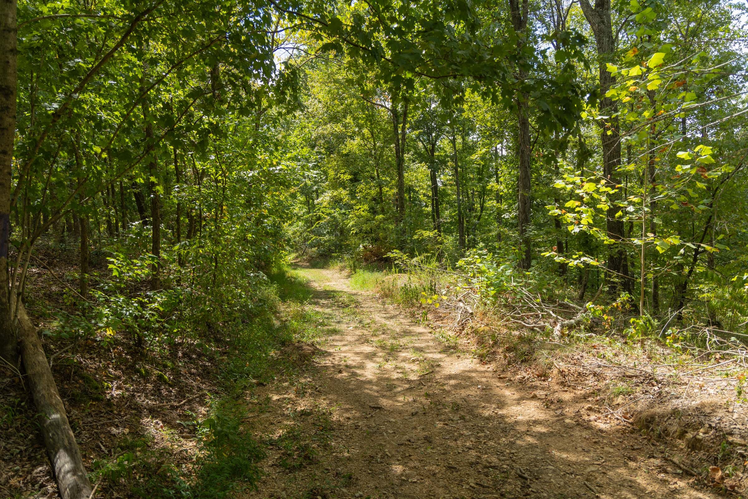 Big White Oak Tract 121 photo 2