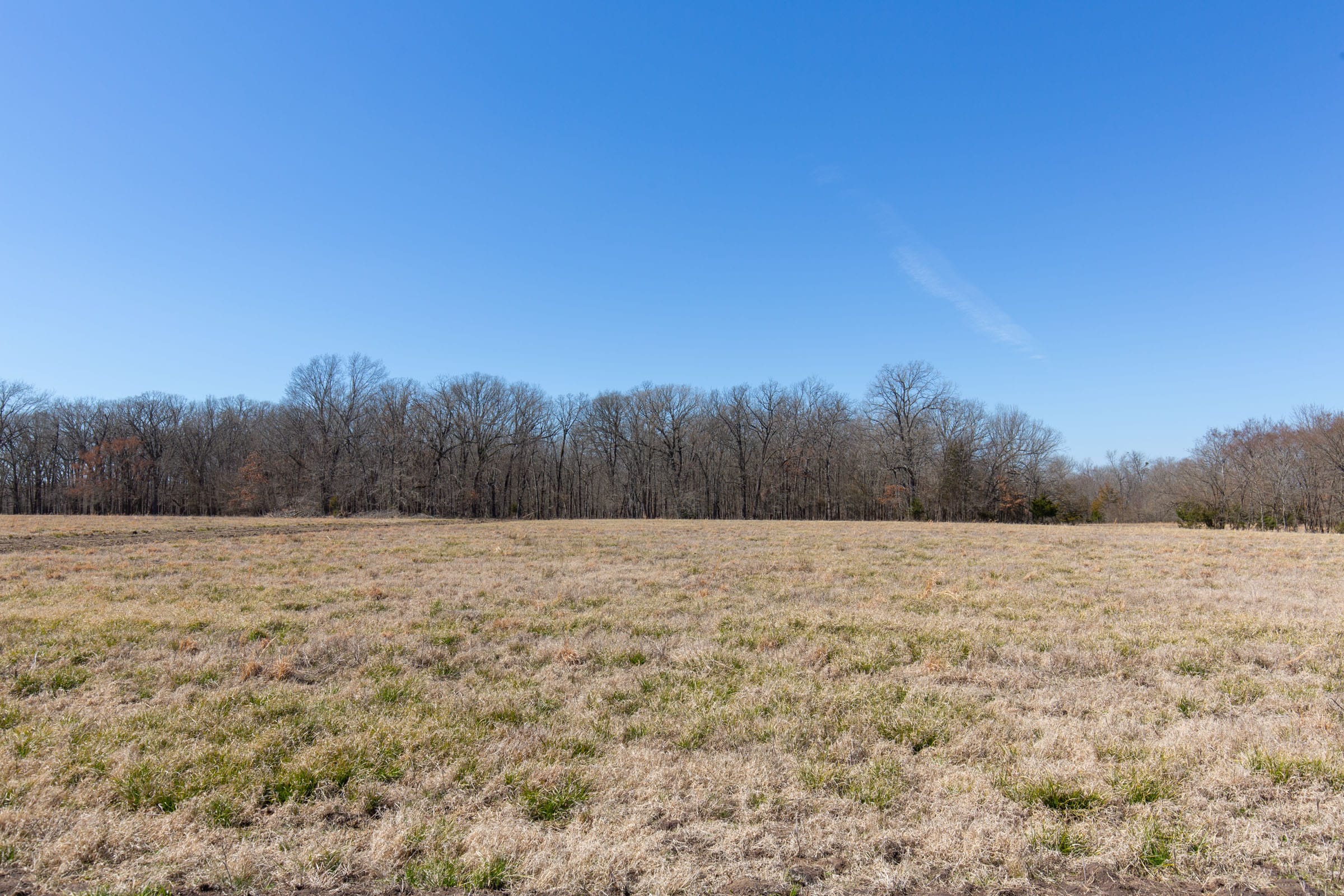 Wishing Star Ranch Tract 20 photo 2