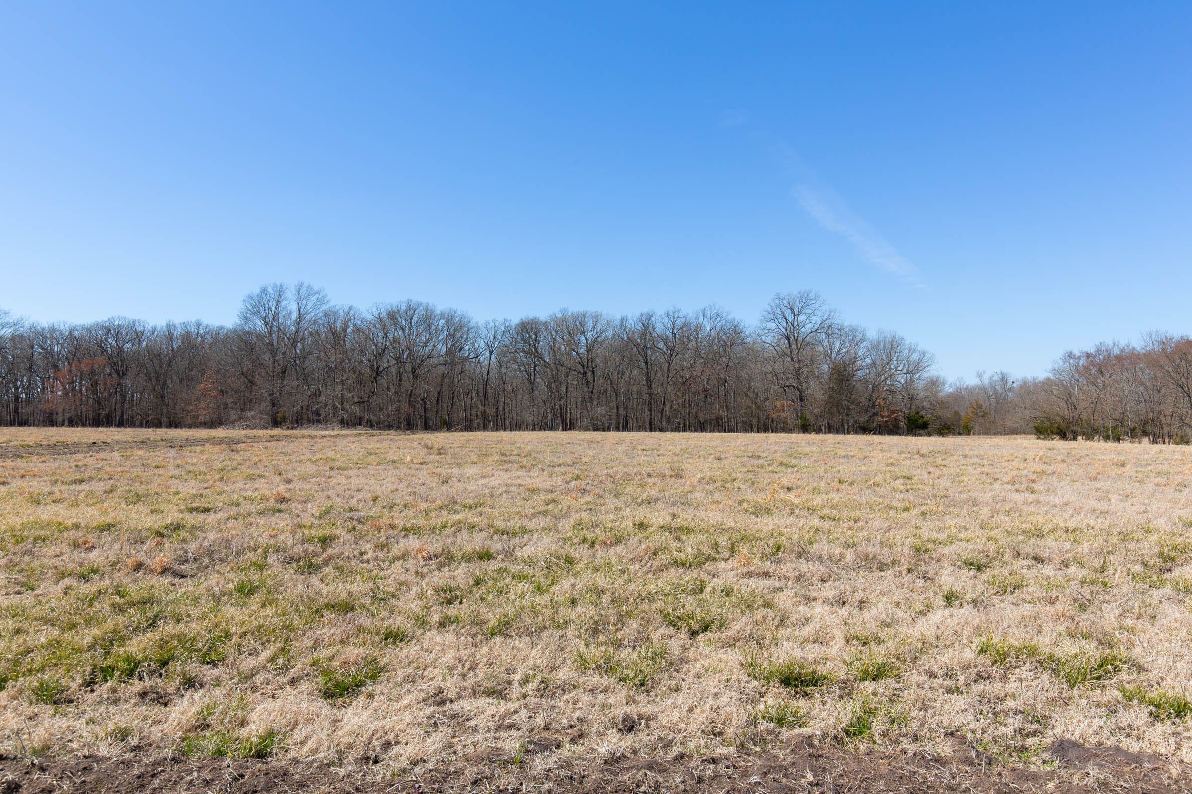 Wishing Star Ranch Tract 20 photo 3