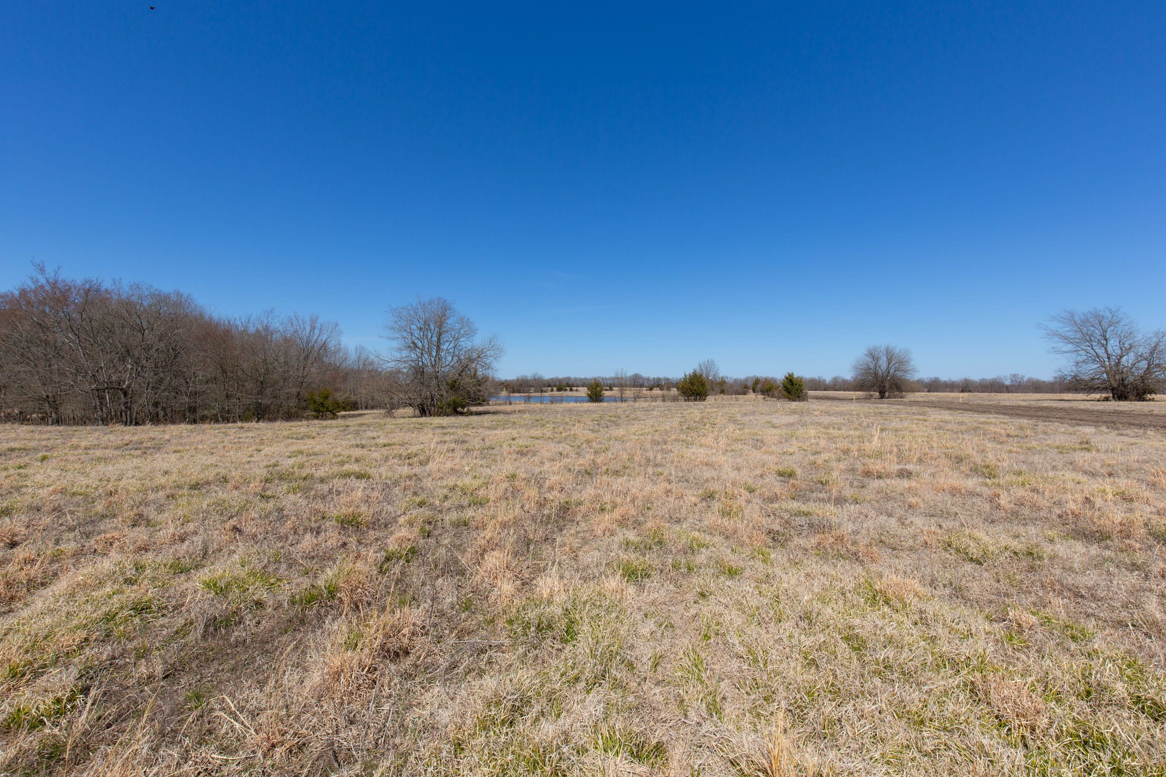 Wishing Star Ranch Tract 20 photo 4